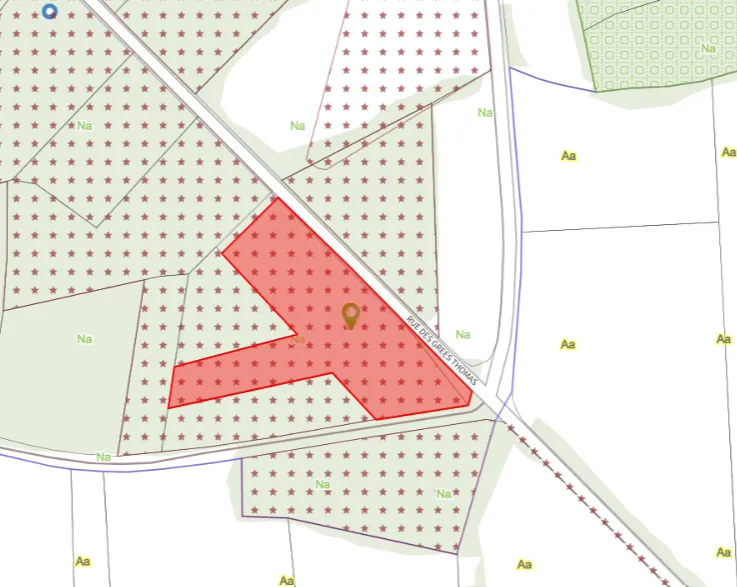 Terrain boisé non constructible de 6471 m² à vendre à Beignon en Brocéliande 