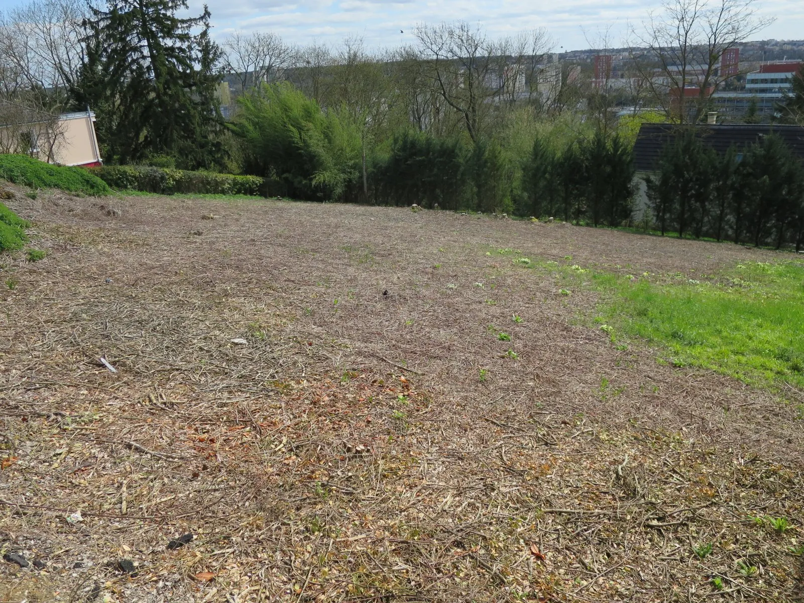 Terrain constructible de 696 m² au Mans avec vue dégagée et proximité commerces 