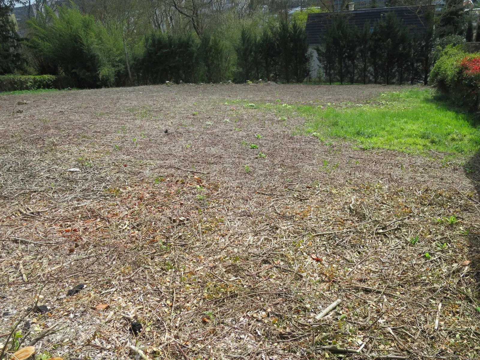 Terrain constructible de 696 m² au Mans avec vue dégagée et proximité commerces 