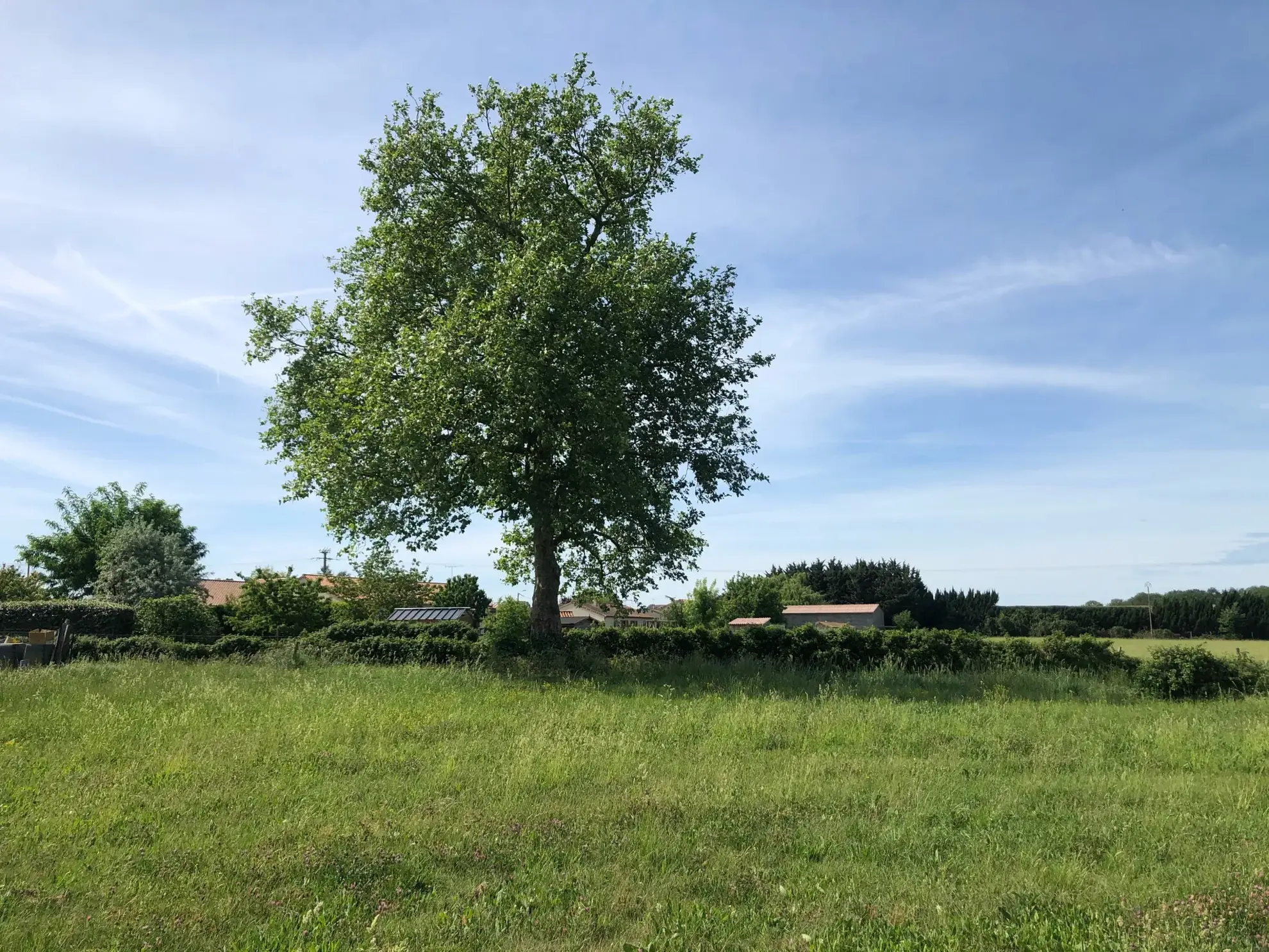 Terrain constructible à Chouppes (86) avec vue campagne et toutes commodités à proximité 