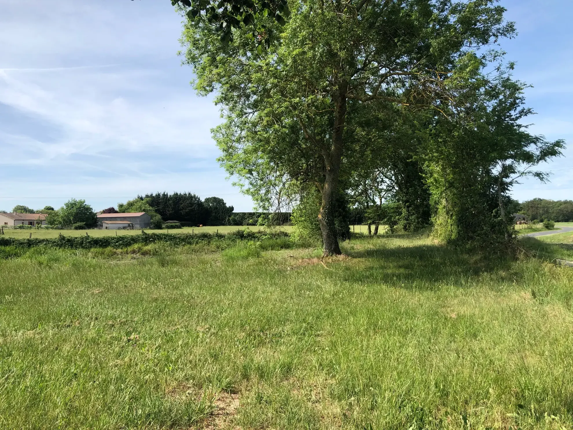 Terrain constructible à Chouppes (86) avec vue campagne et toutes commodités à proximité 