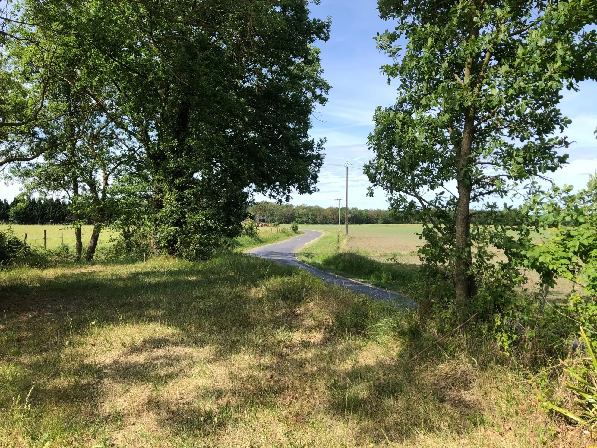 Terrain constructible à Chouppes (86) avec vue campagne et toutes commodités à proximité 