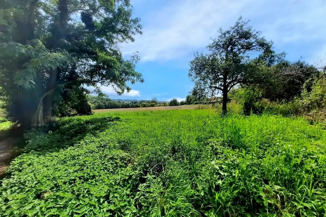 Terrain à bâtir de 408 m² à Quincy-Voisins avec vue dégagée