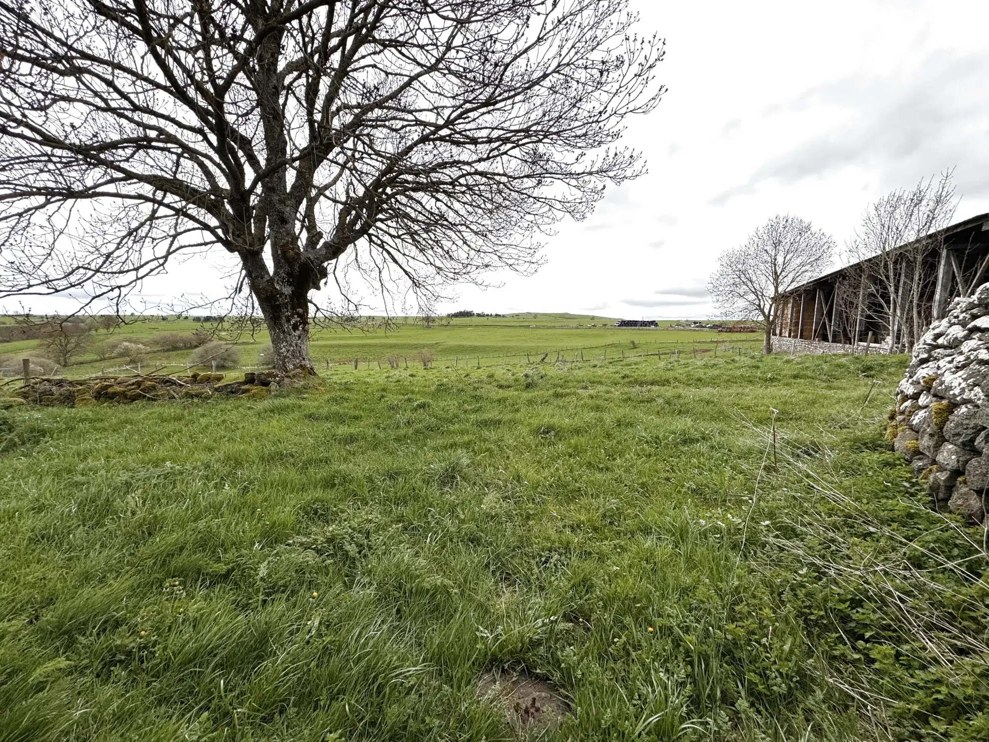 Grange à rénover sur 800 m² à Joursac dans le Cantal - Opportunité immobilière 
