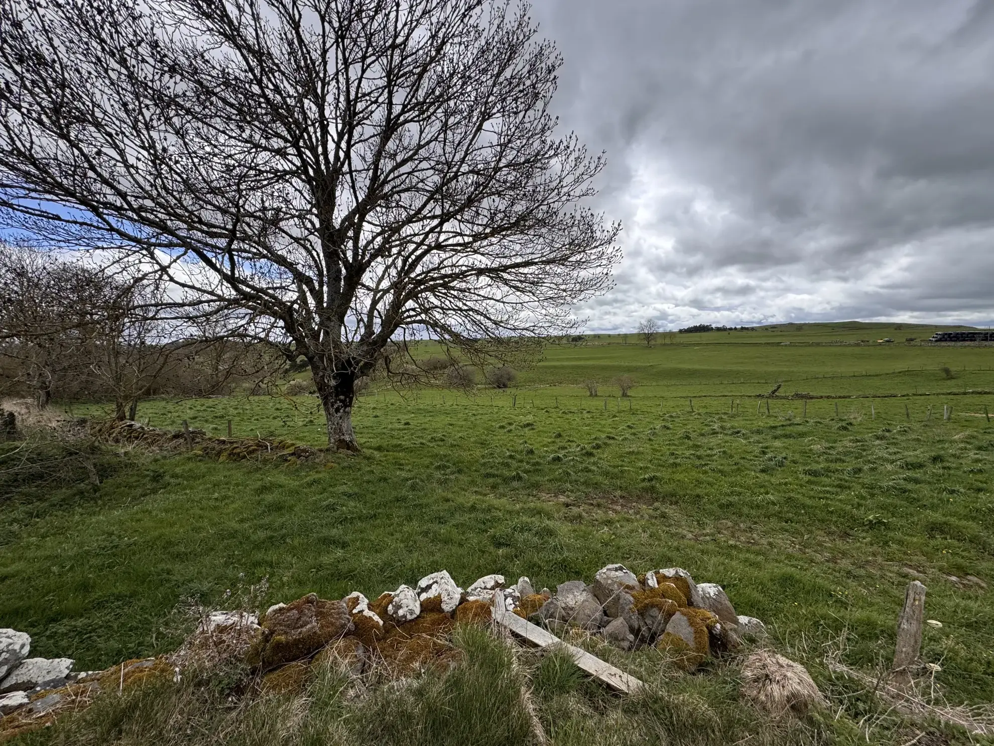 Grange à rénover sur 800 m² à Joursac dans le Cantal - Opportunité immobilière 