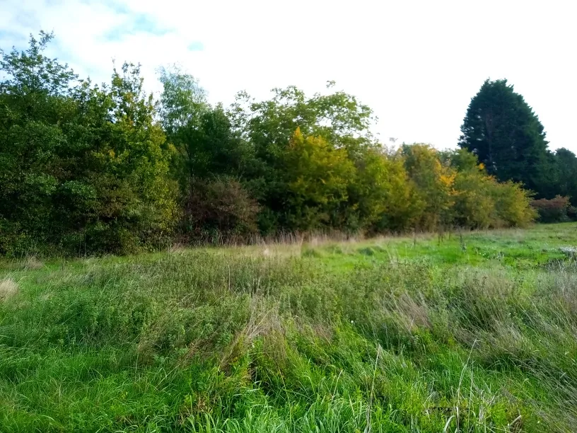 Maison familiale 4 chambres avec jardin et garage à Varennes Vauzelles 