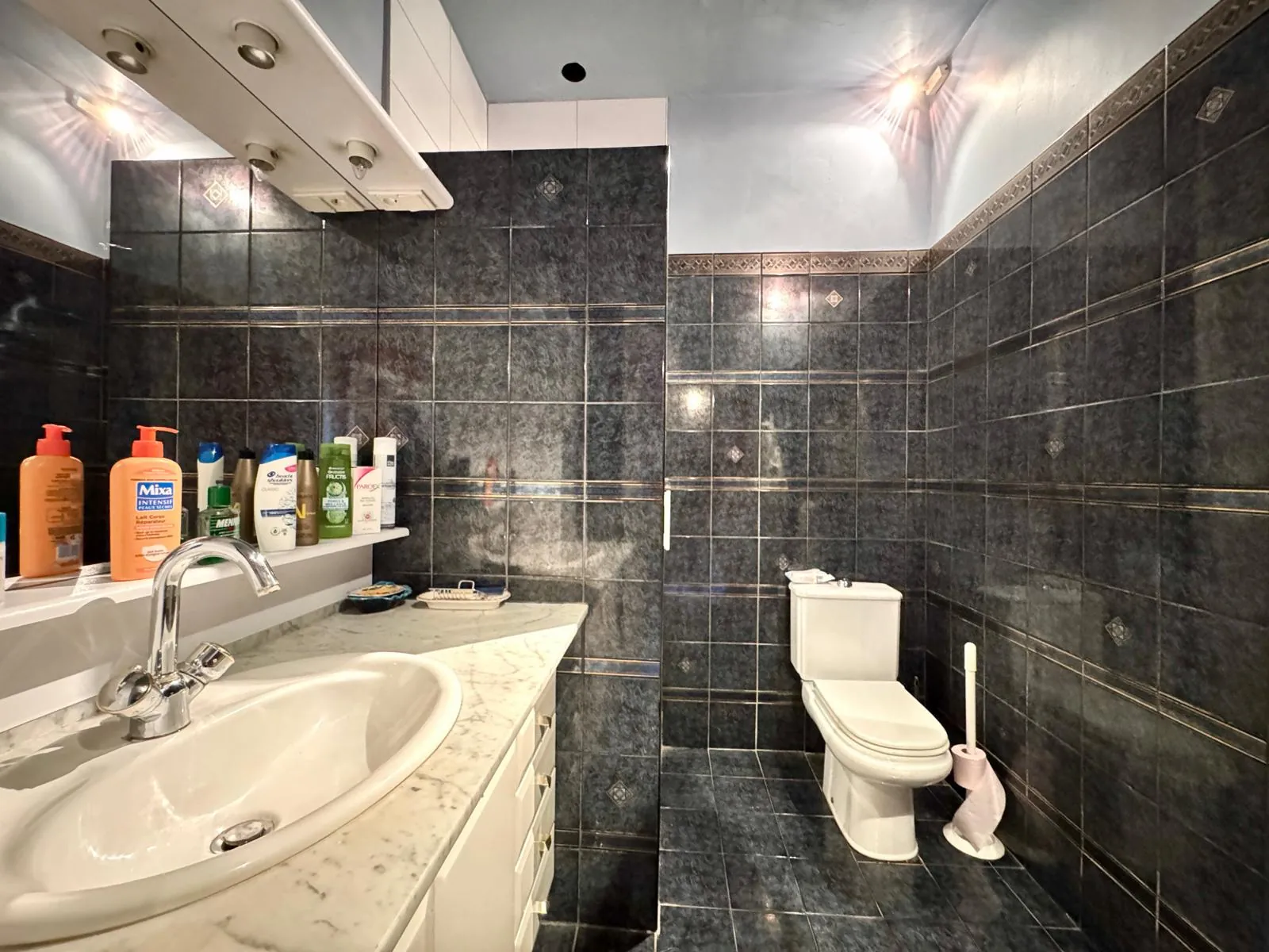 Maison de maître avec piscine et jardin à Villegly proche Carcassonne 