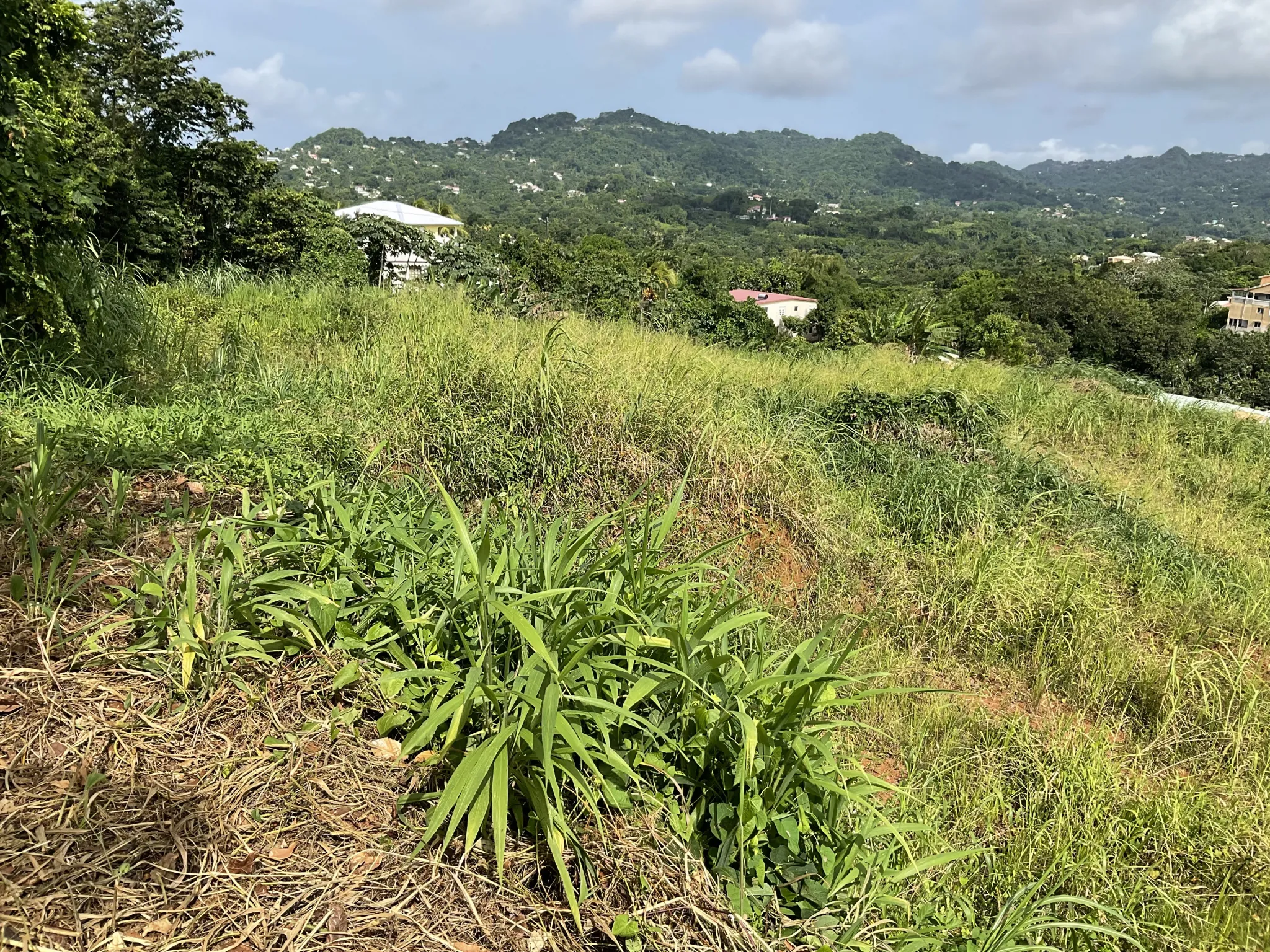 Terrain à bâtir de 473,38 m² au Robert - Vue dégagée et emplacement stratégique 