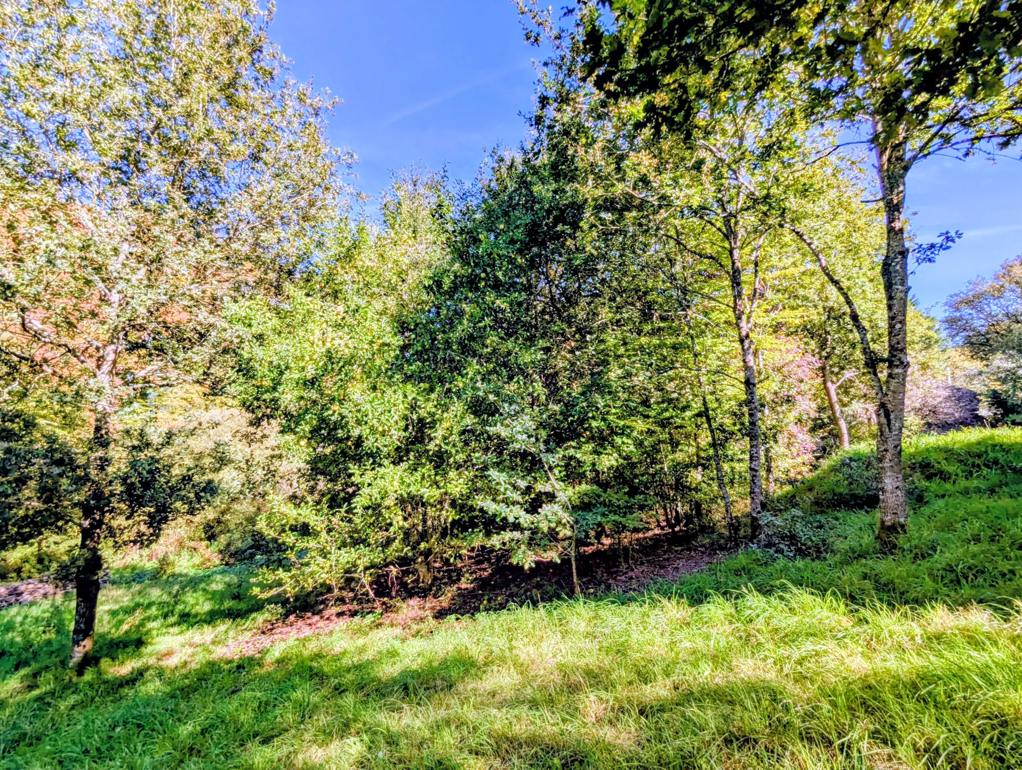 Tiny House à Beignon en Brocéliande - Habitat écologique et autonome 