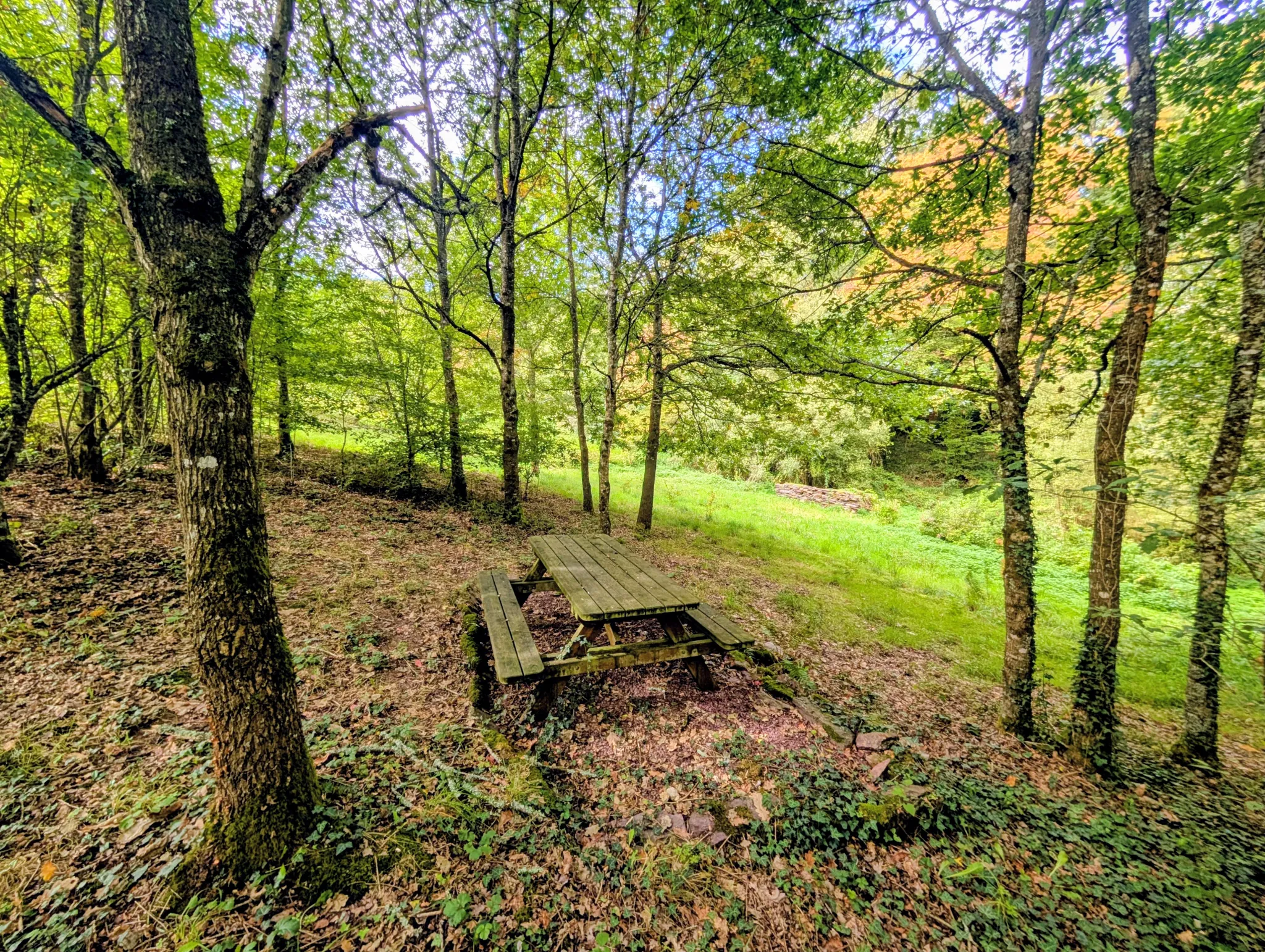 Tiny House à Beignon en Brocéliande - Habitat écologique et autonome 