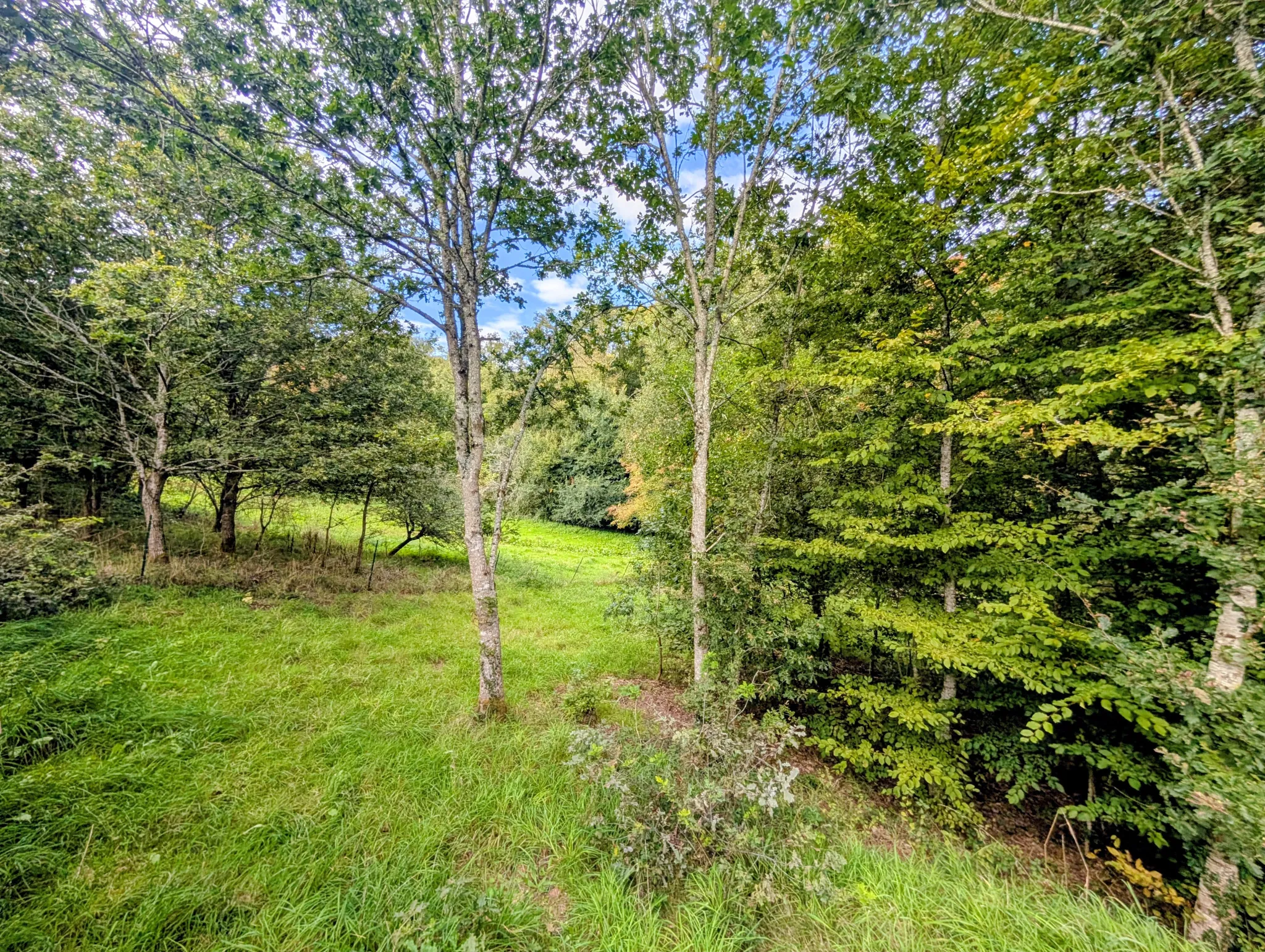 Tiny House à Beignon en Brocéliande - Habitat écologique et autonome 