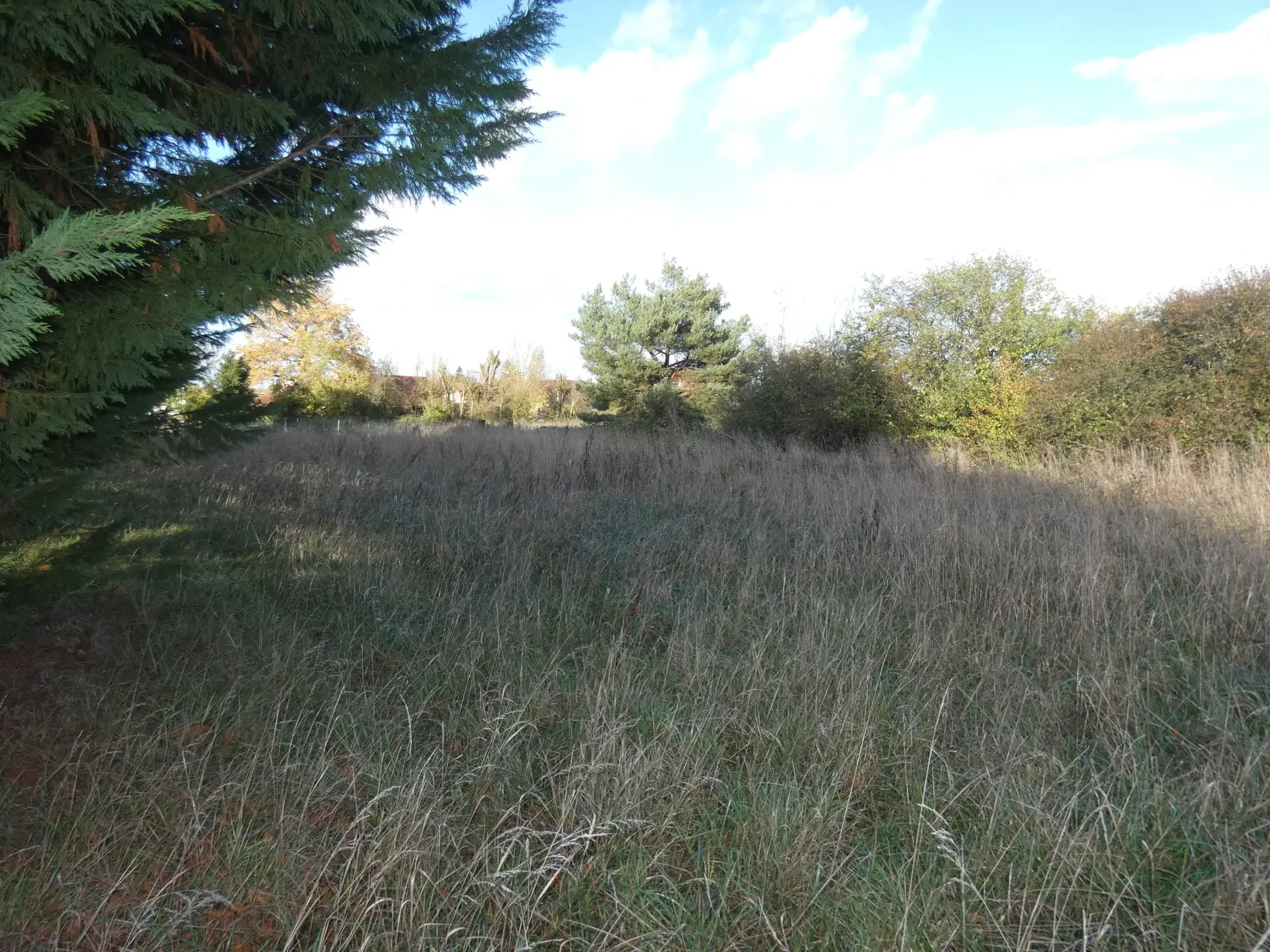 Terrain constructible de 1339 m² à Egriselles dans un environnement paisible