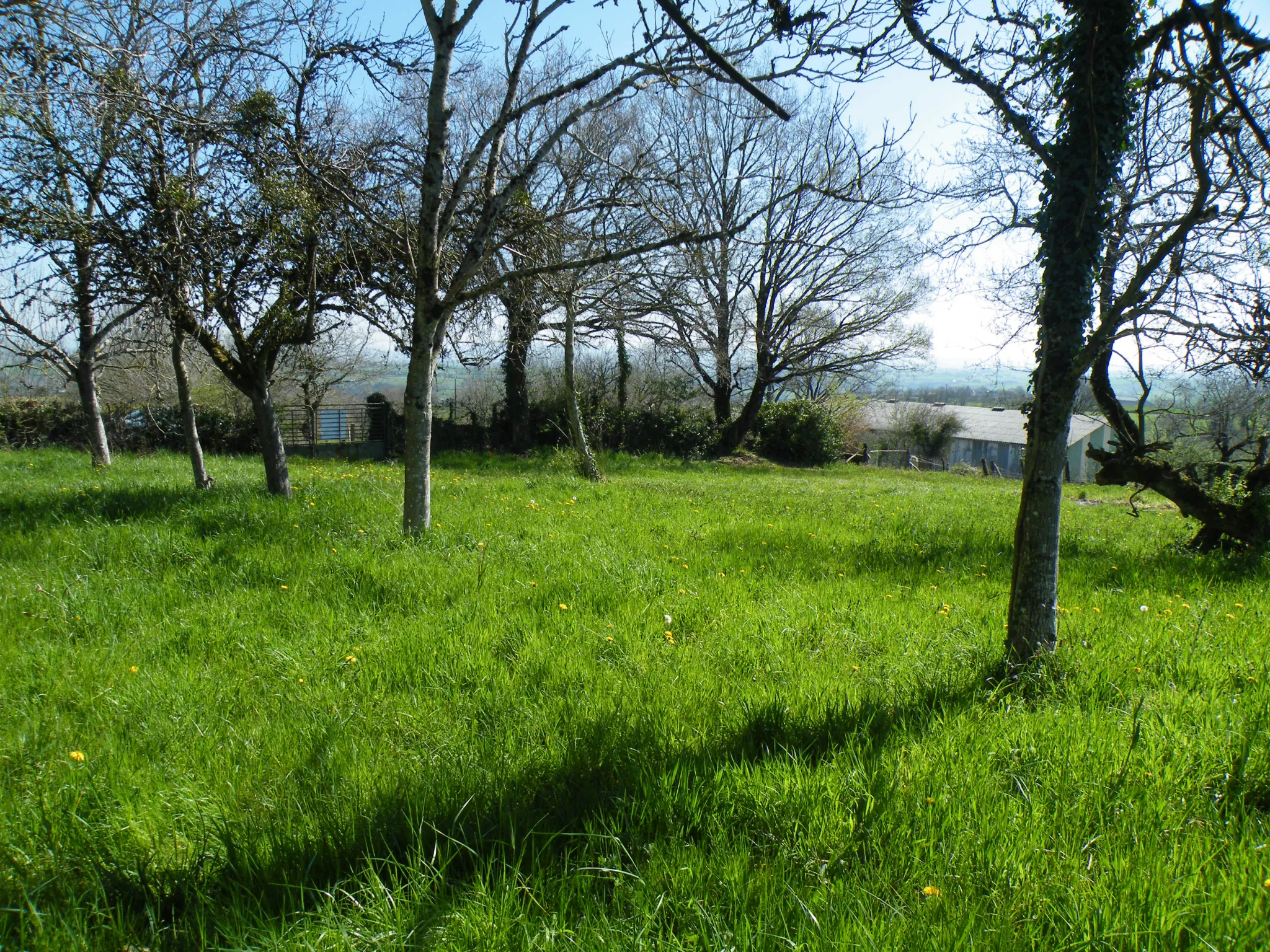 Terrain à bâtir de 1360 m² proche Baraqueville à Moyrazes