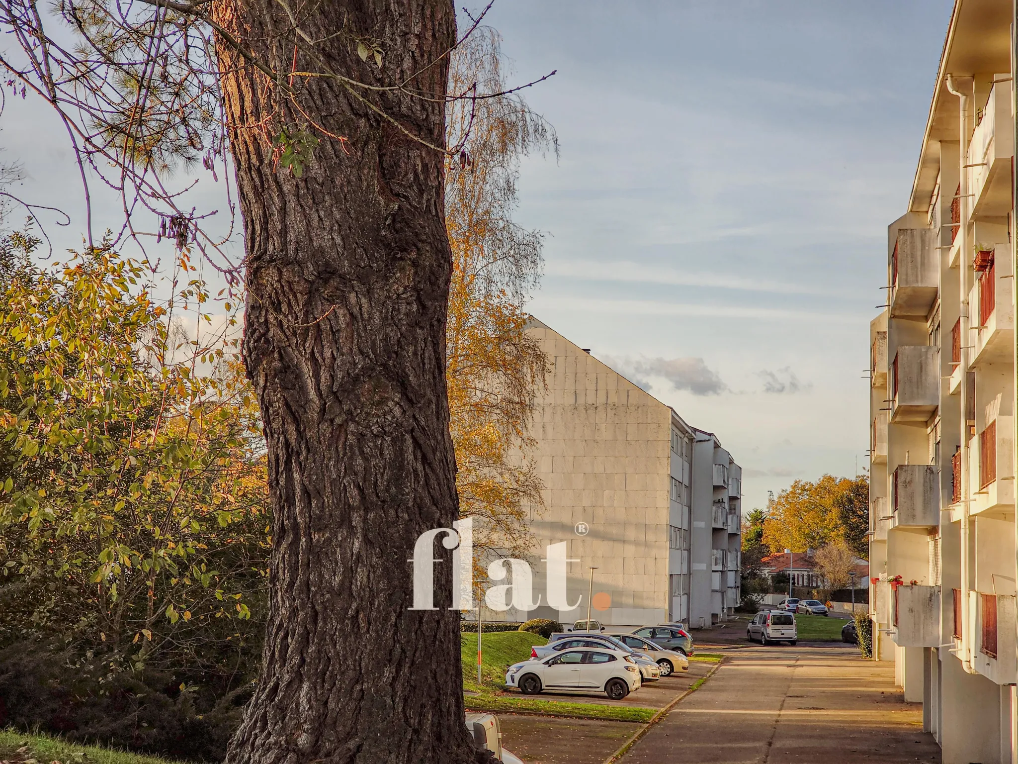 Appartement T2 bis de 48 m² à Vertou avec balcon, parking et cave 