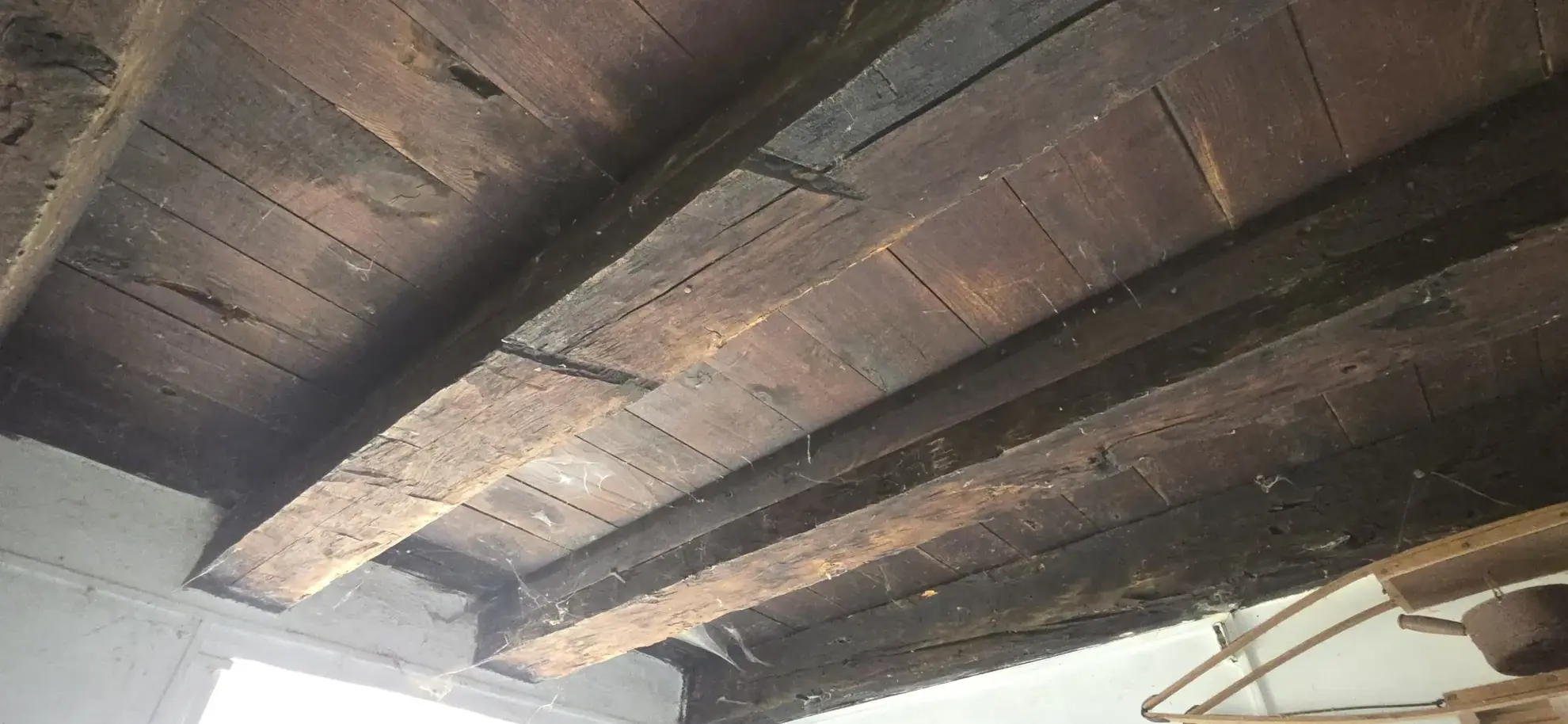 Charmante Longère en Pierre avec Vue sur Prairie à Beyssenac, proche de POMPADOUR 