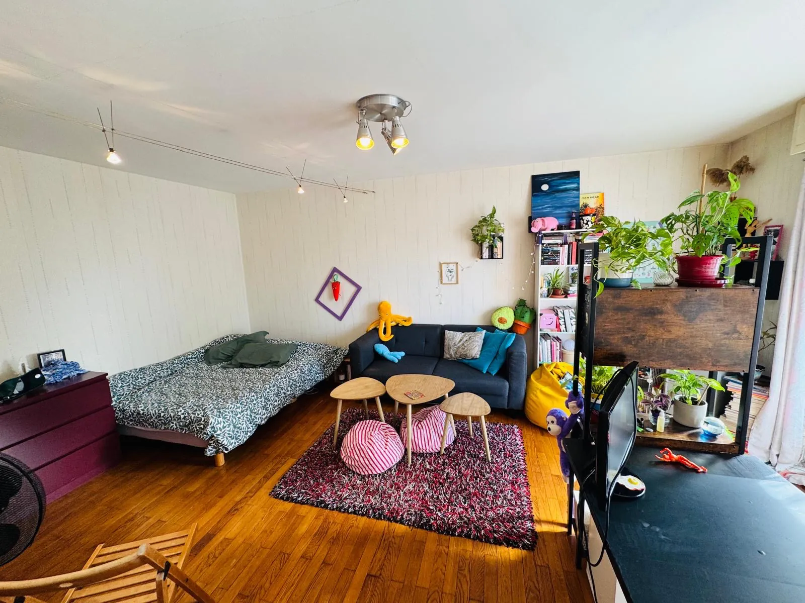 Appartement T1 à Grenoble de 37 m2 idéal pour investisseurs ou premiers achats 