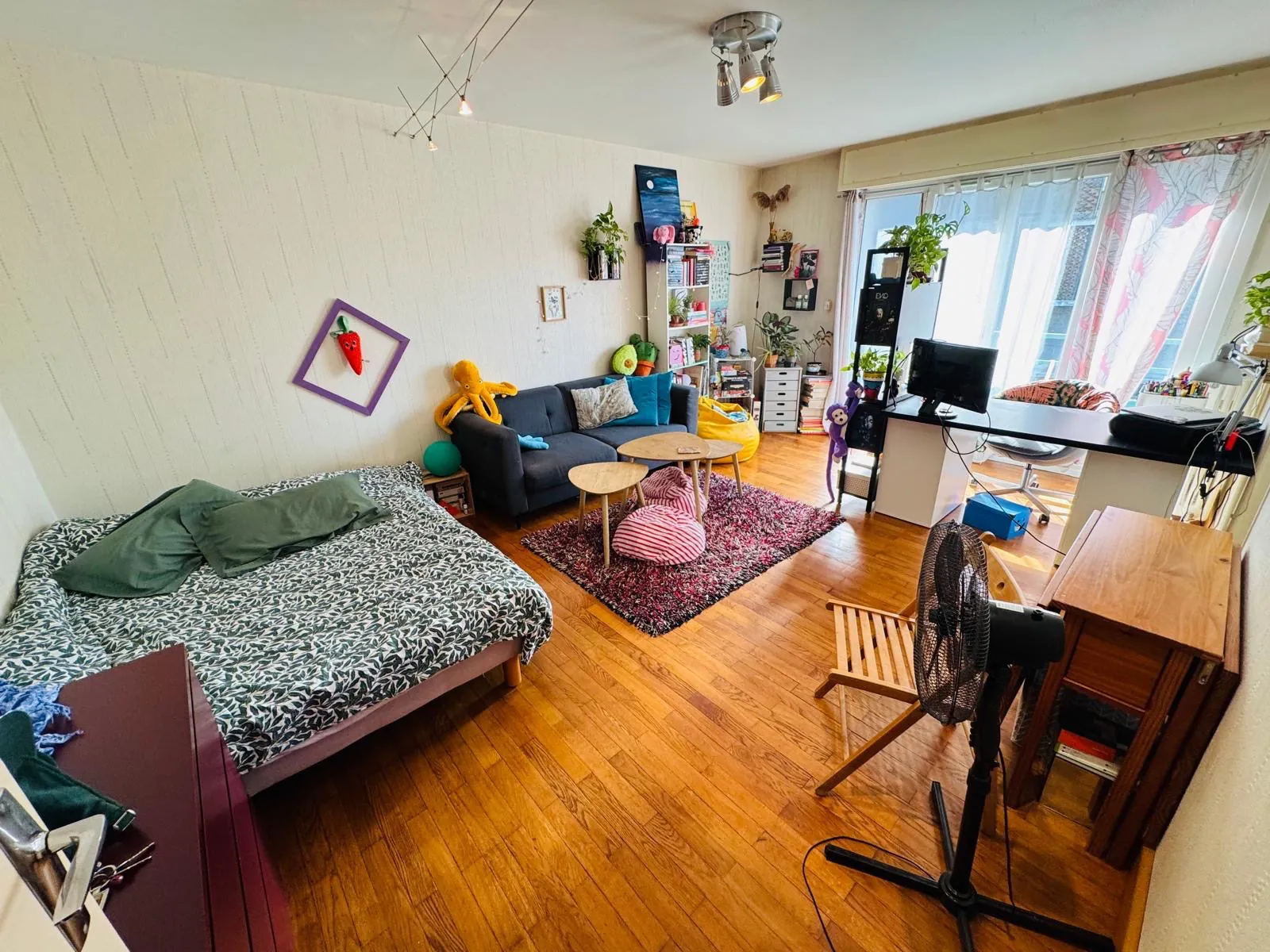 Appartement T1 à Grenoble de 37 m2 idéal pour investisseurs ou premiers achats 