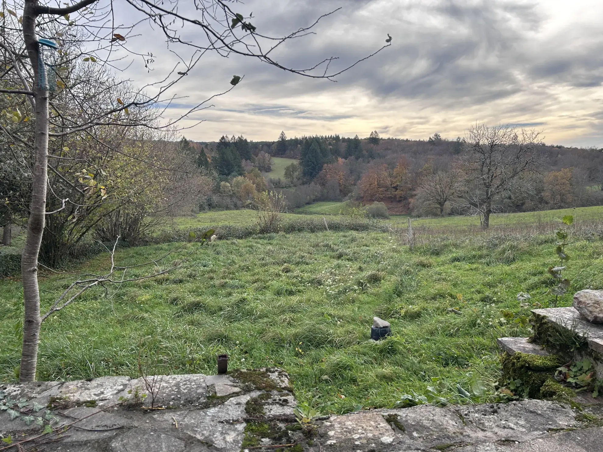 Maison en pierres rénovée à Auriac avec jardin et vue campagne 
