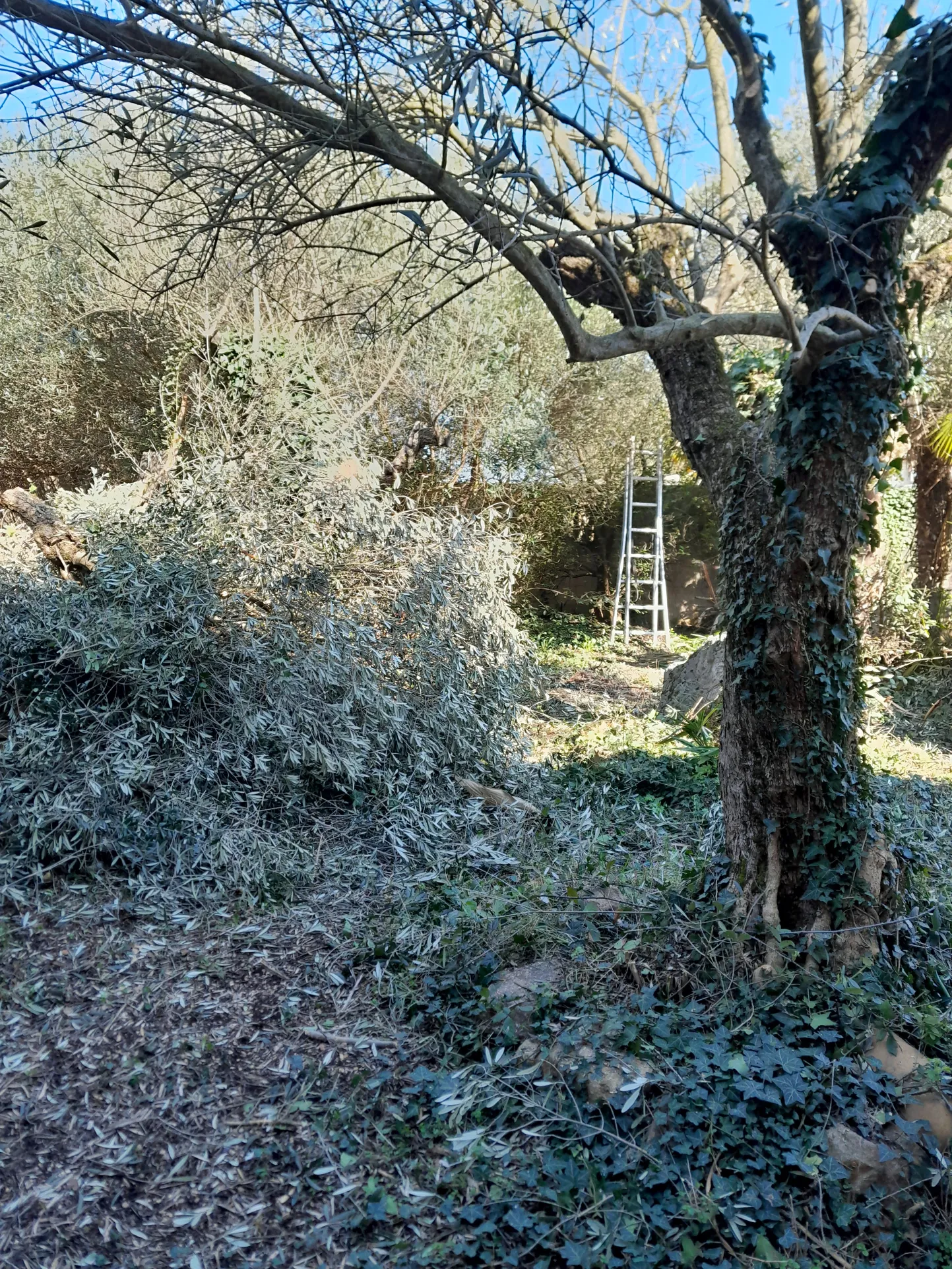 Maison à Roussillon de 100 m² avec terrain, dépendance et potentiel de rénovation 