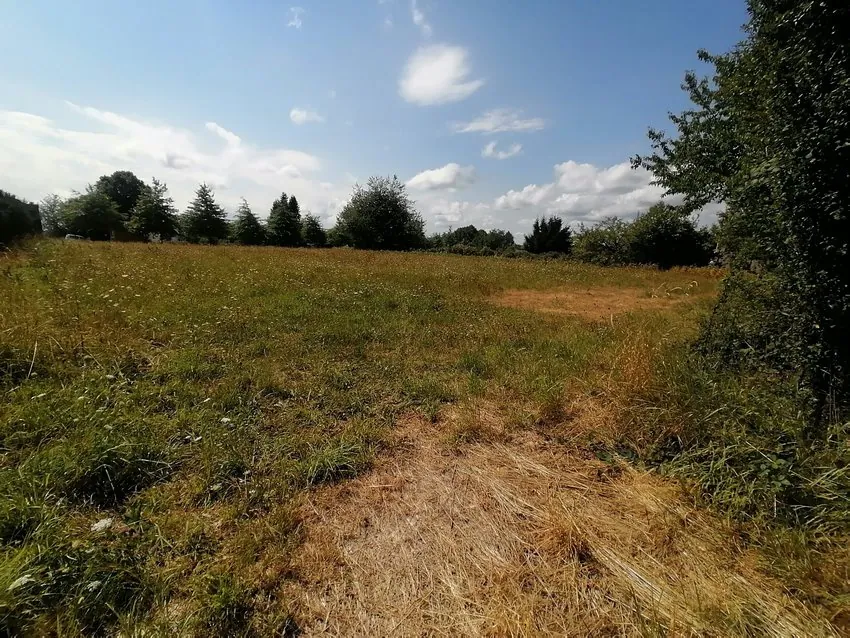 Terrain constructible de 1539 m² à Saint-Georges-de-Mons - Non viabilisé