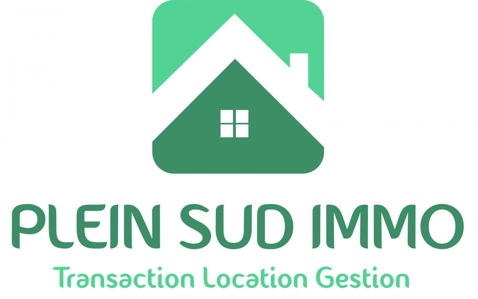 PLEINSUD-IMMO_1