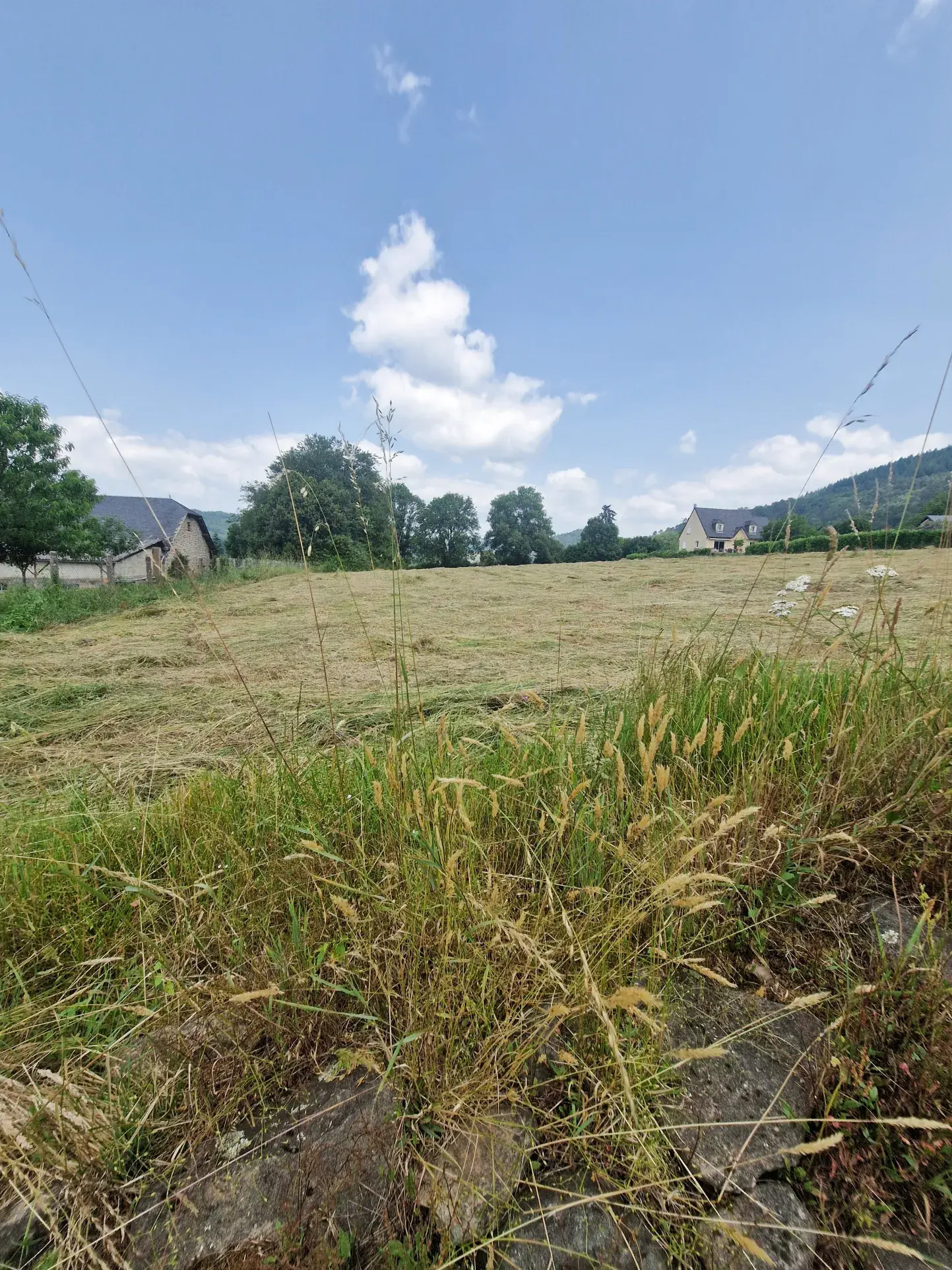 Terrain constructible plat de 3436 m² à Aubazine, parfait pour votre future maison 