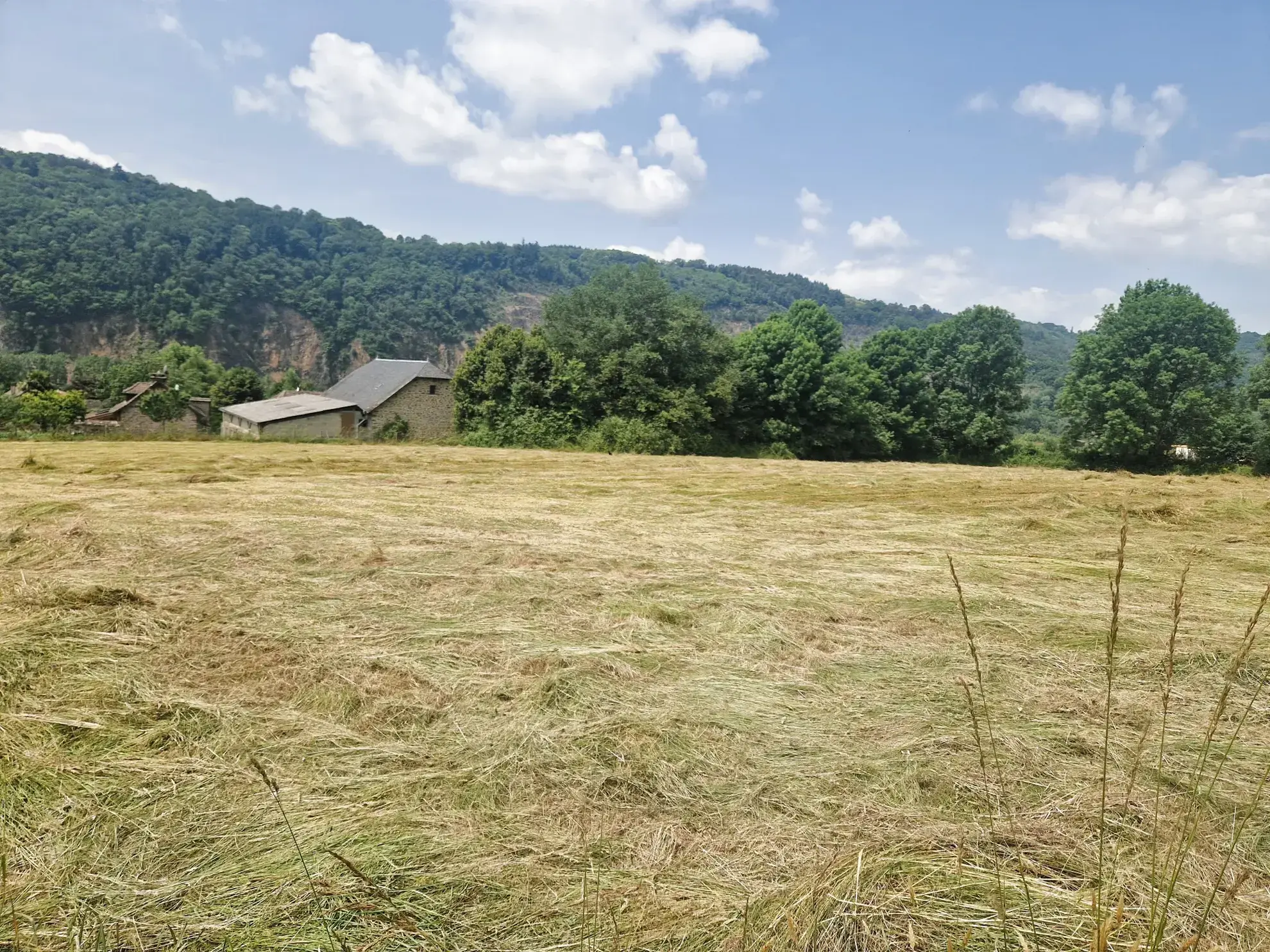 Terrain constructible plat de 3436 m² à Aubazine, parfait pour votre future maison
