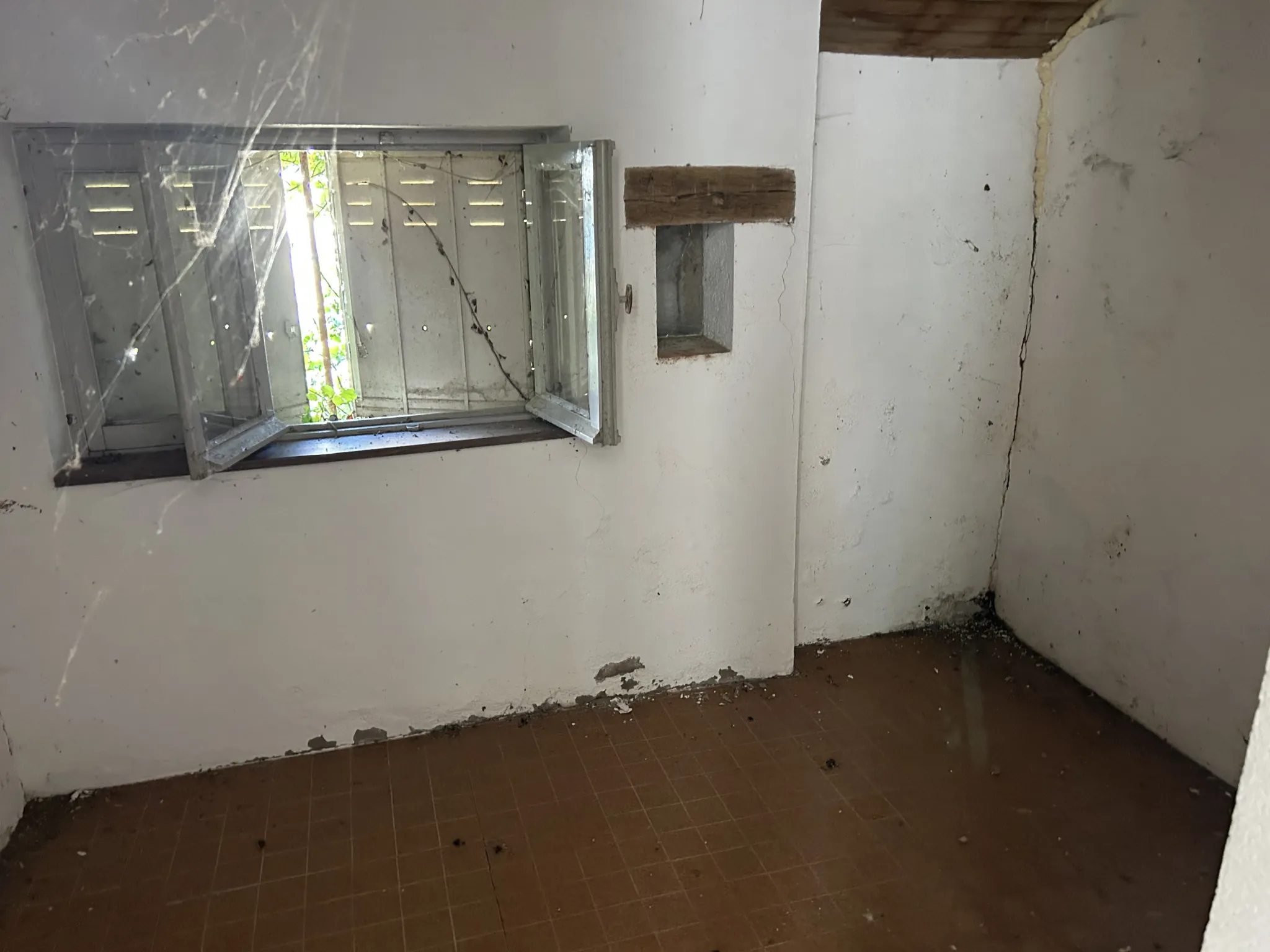 À vendre maison à rénover avec grange et grand terrain à Lurcy le Bourg 