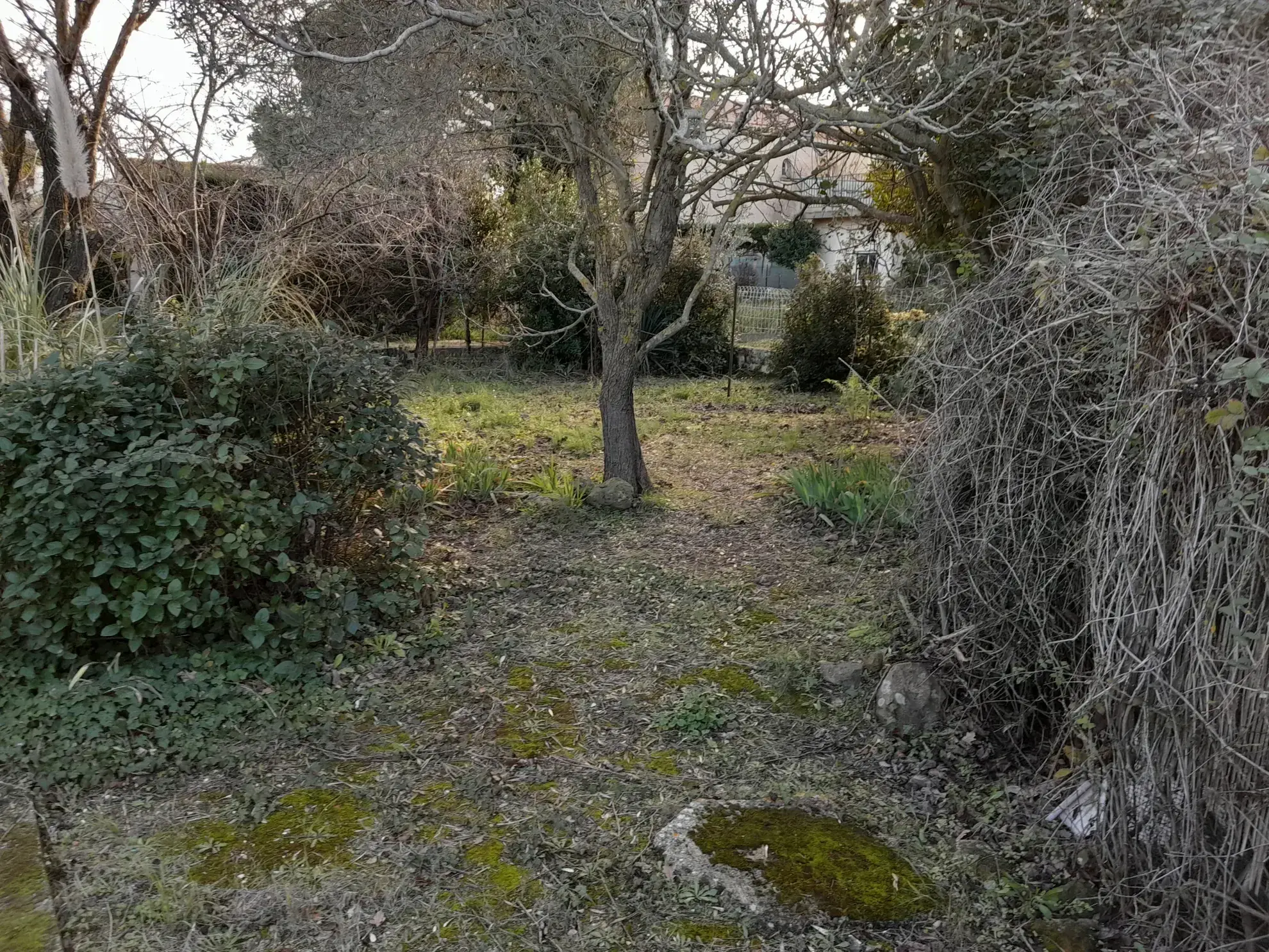 Maison de plain-pied à vendre à Agde avec jardin et terrasse 