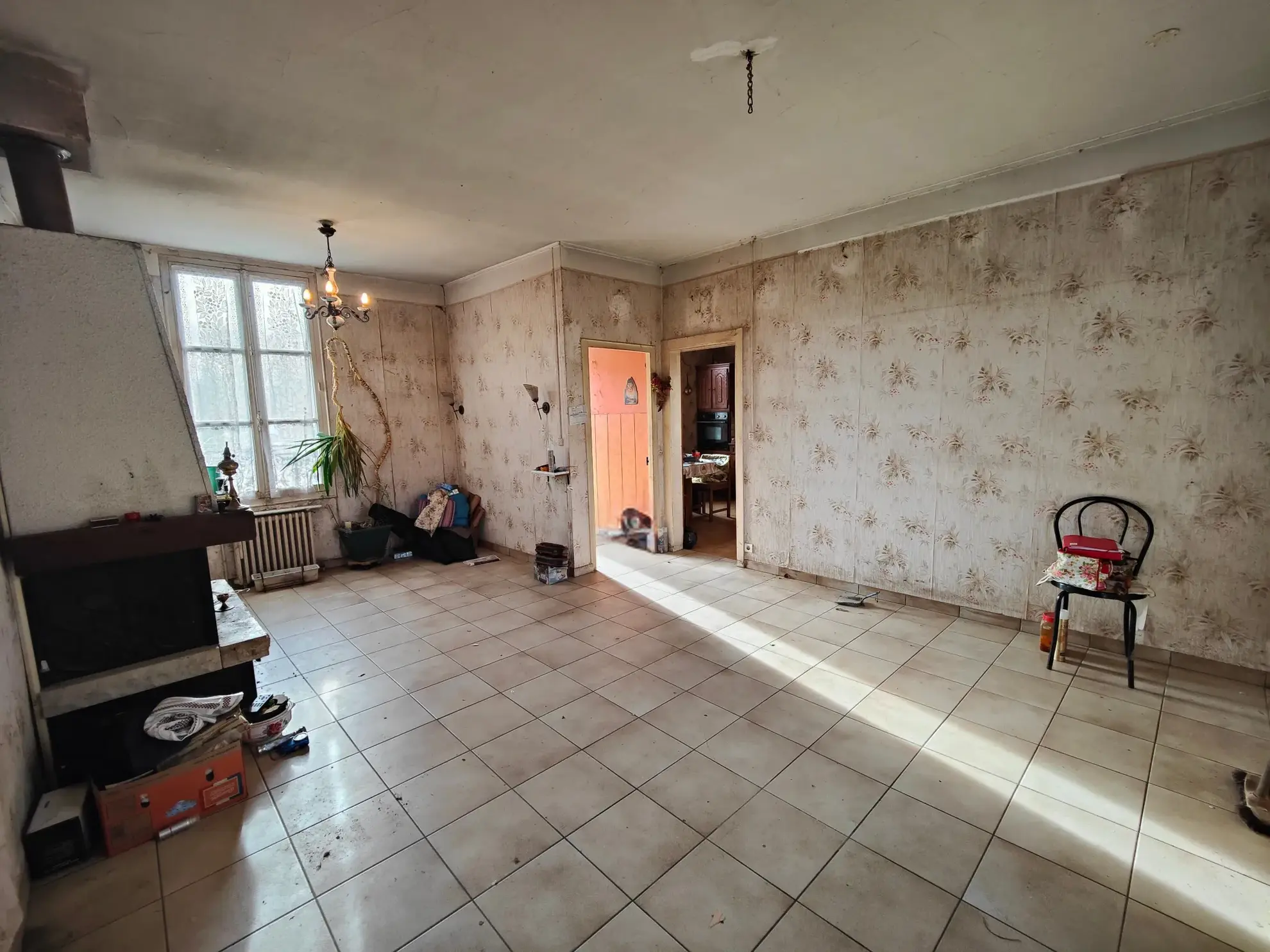 Maison à rénover avec grand terrain à Brienon-sur-Armançon – Opportunité de projet immobilier 