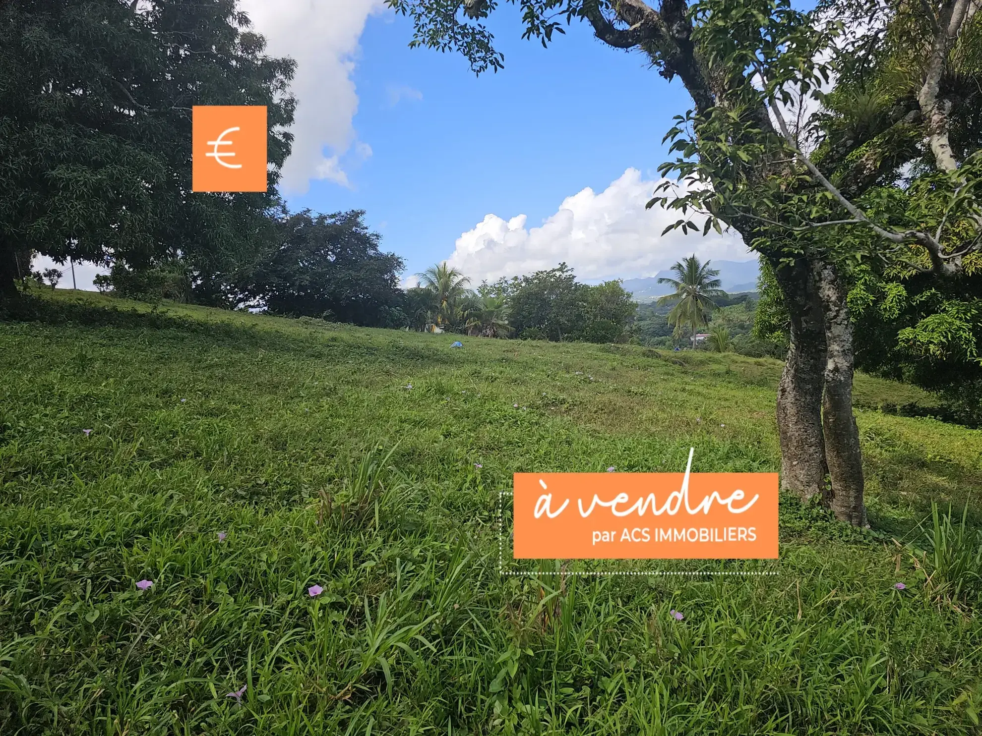 Terrain à bâtir en pente douce de 2209 m² au ROBERT à vendre