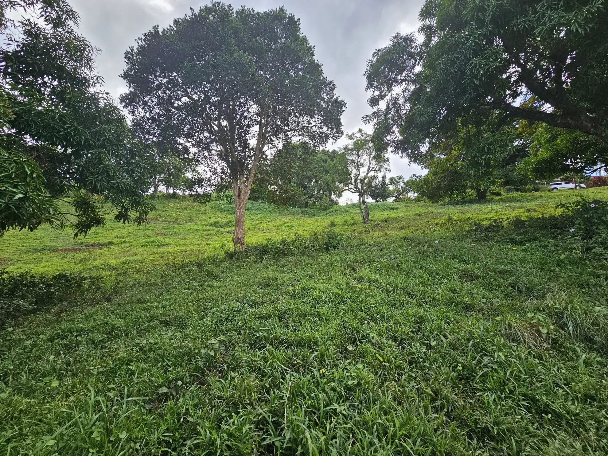 Terrain à bâtir en pente douce de 2209 m² au ROBERT à vendre 