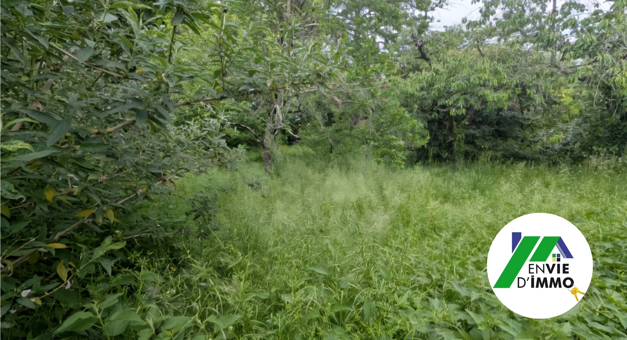 Terrain constructible de 766 m² en plein centre de Magné - Opportunité rare