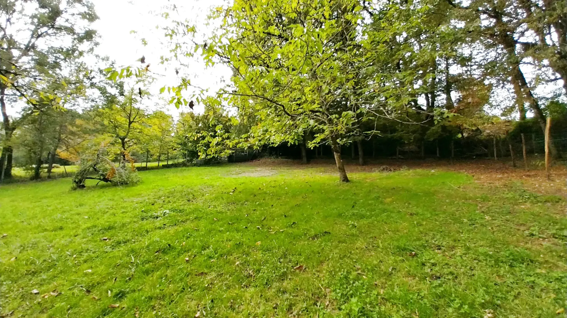 Maison de plain-pied proche du centre de Chancelade avec jardin et jacuzzi 