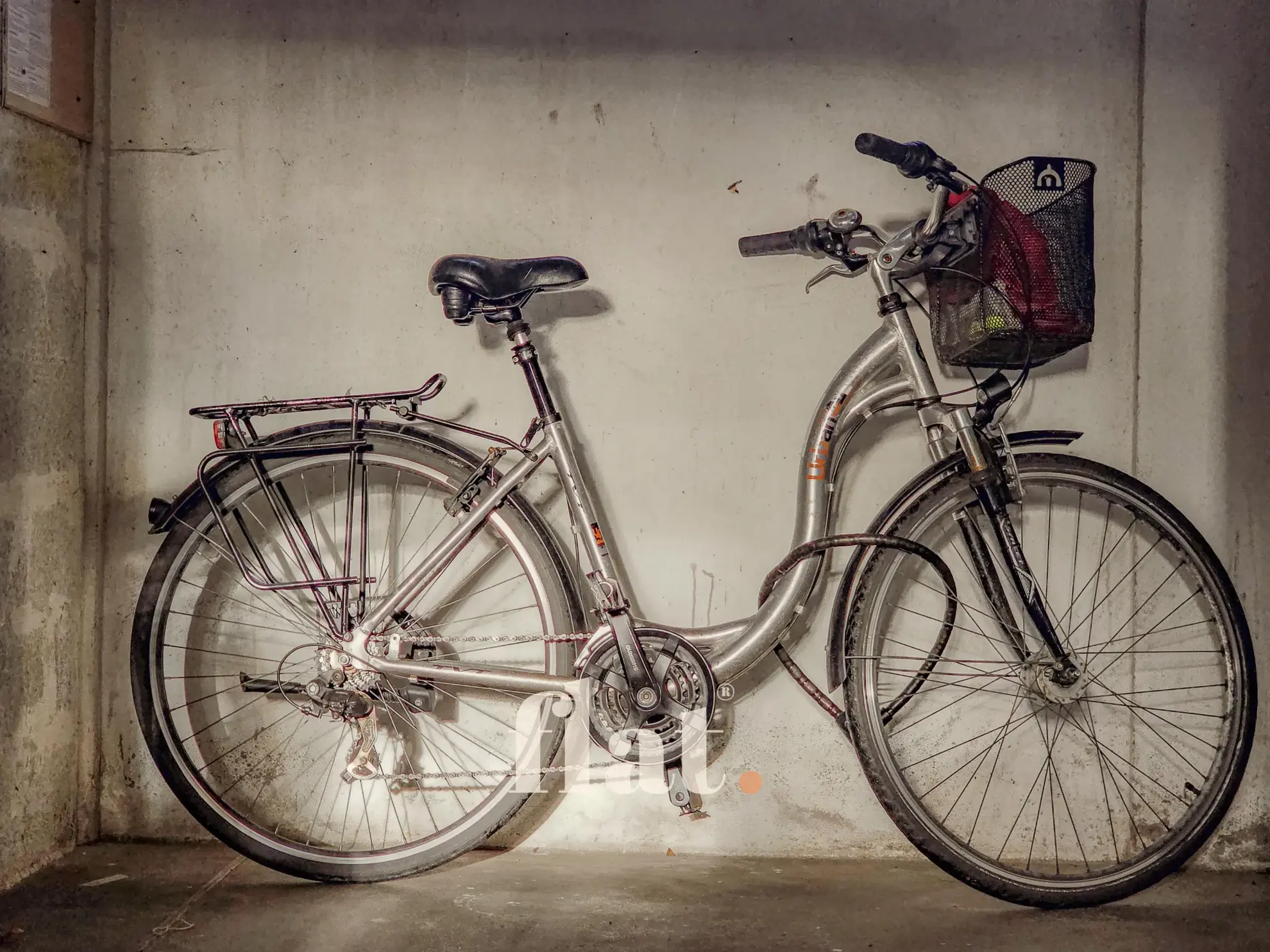 Appartement T4 lumineux à Nantes avec cave, jardin partagé et emplacement idéal 
