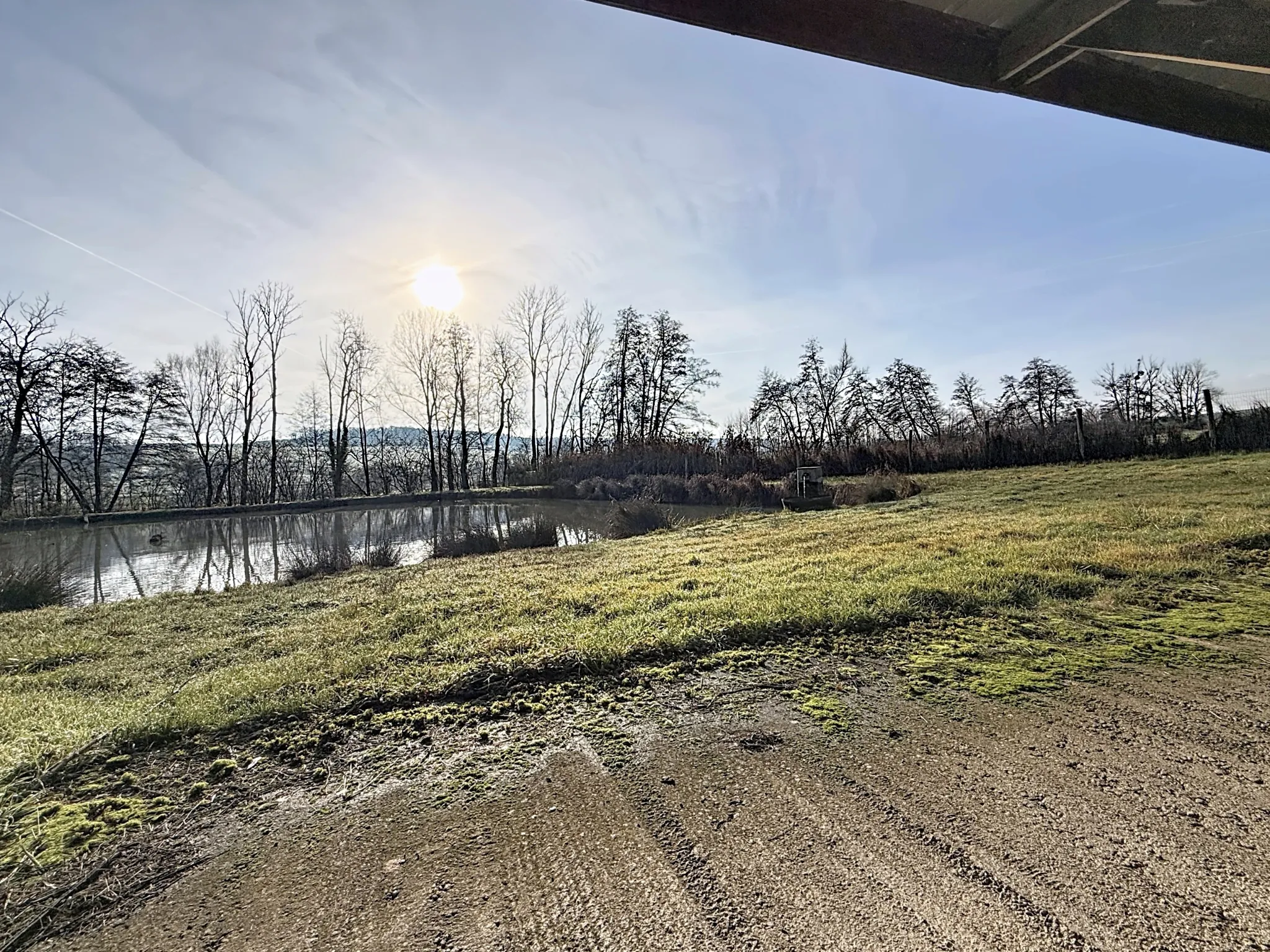 Terrain de loisir avec étang et bois privé à 7 km de Mirecourt 