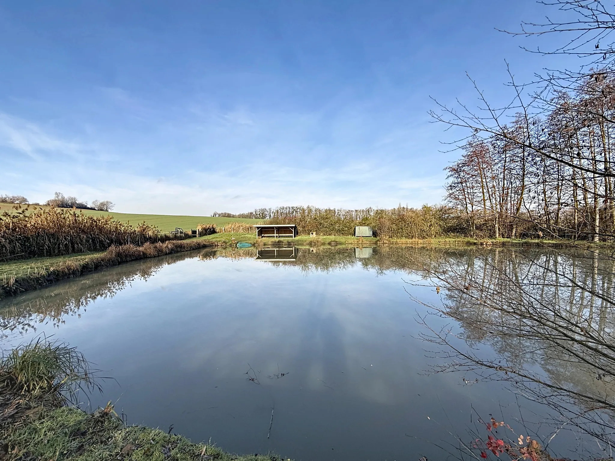Terrain de loisir avec étang et bois privé à 7 km de Mirecourt 