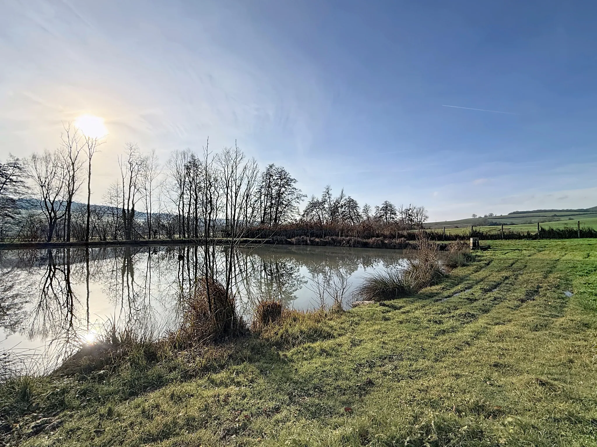 Terrain de loisir avec étang et bois privé à 7 km de Mirecourt 