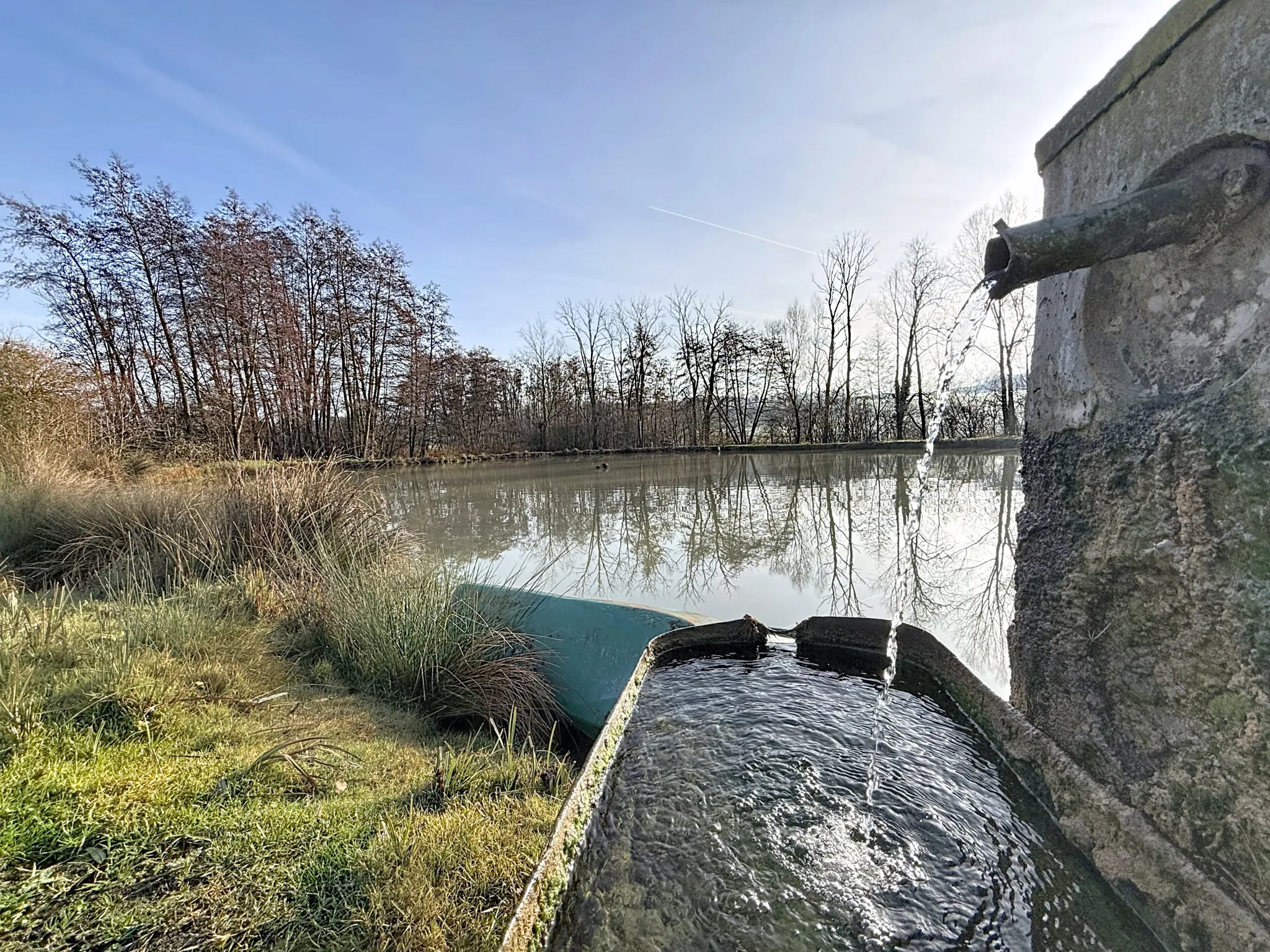 Terrain de loisir avec étang et bois privé à 7 km de Mirecourt 