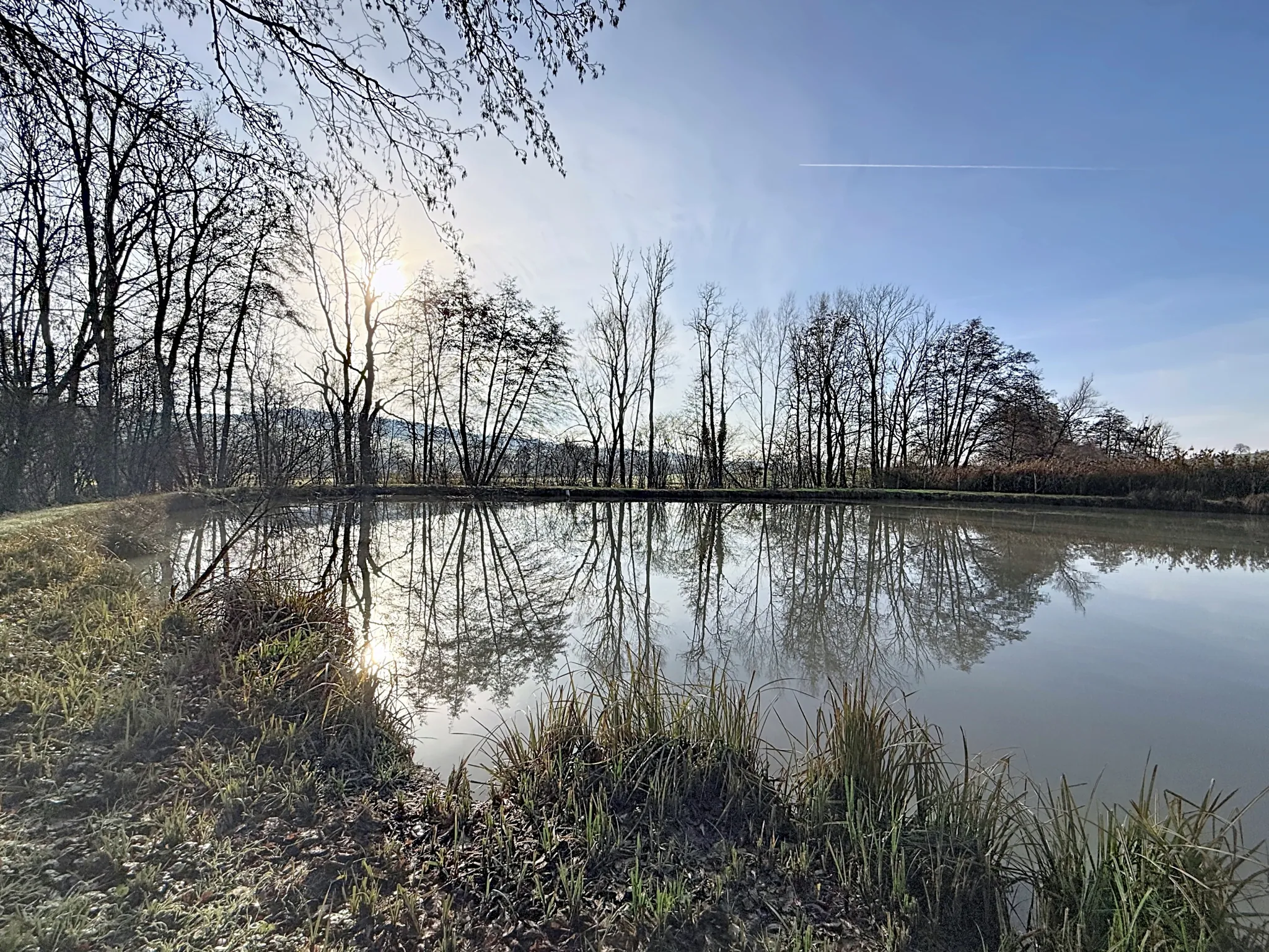 Terrain de loisir avec étang et bois privé à 7 km de Mirecourt 