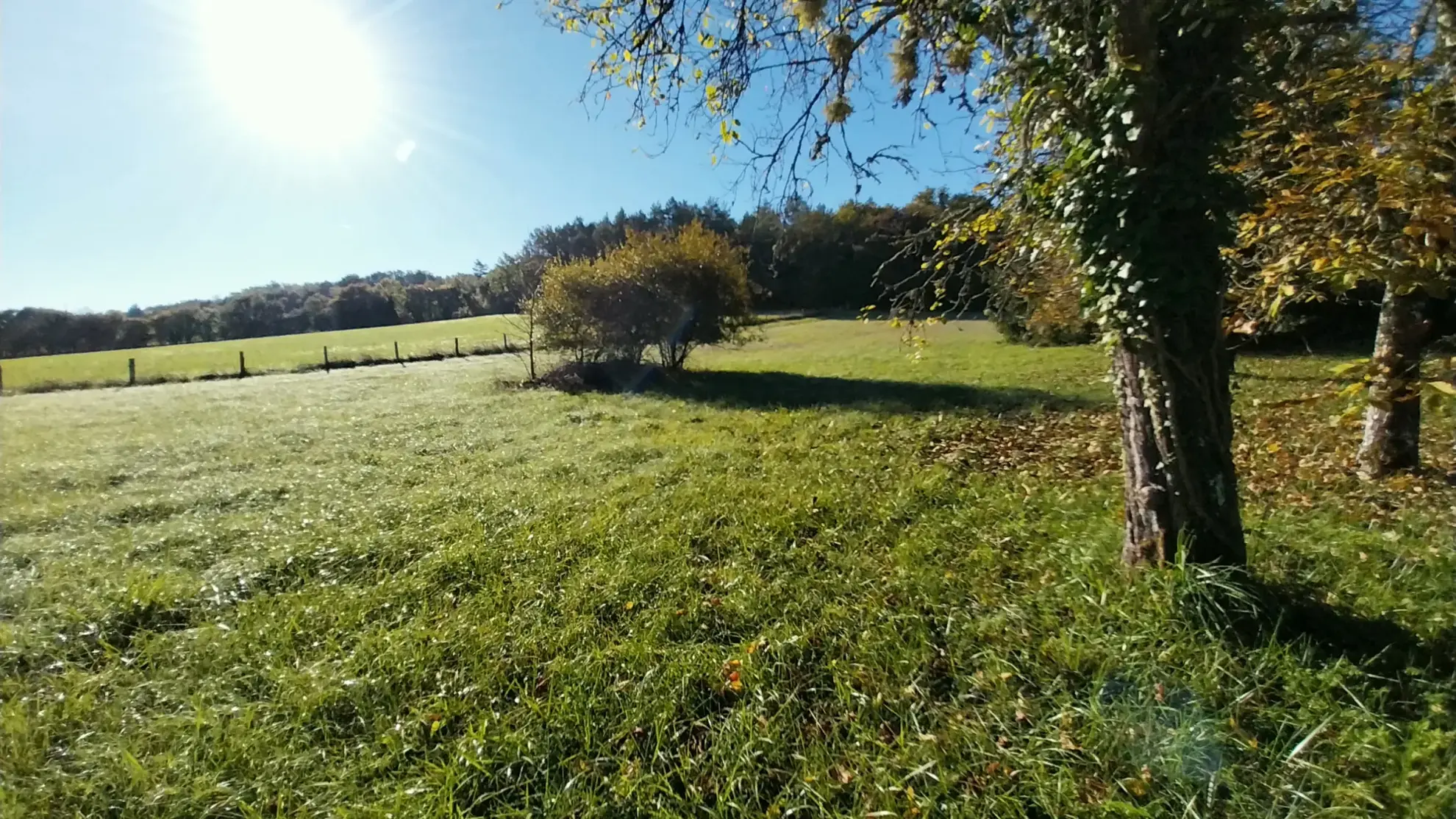 Maison avec grand terrain de 2 hectares à Mareuil la Belle en Périgord Vert 