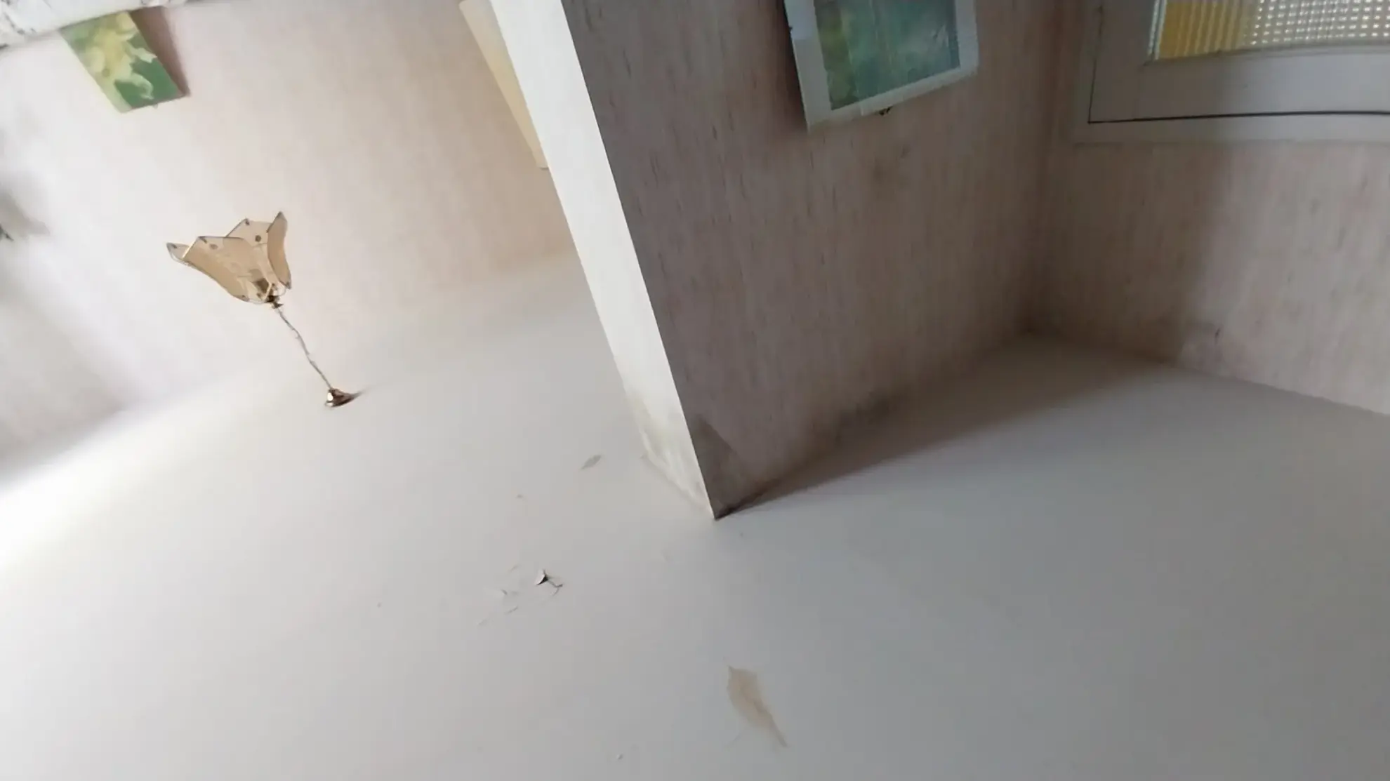 Maison avec grand terrain de 2 hectares à Mareuil la Belle en Périgord Vert 