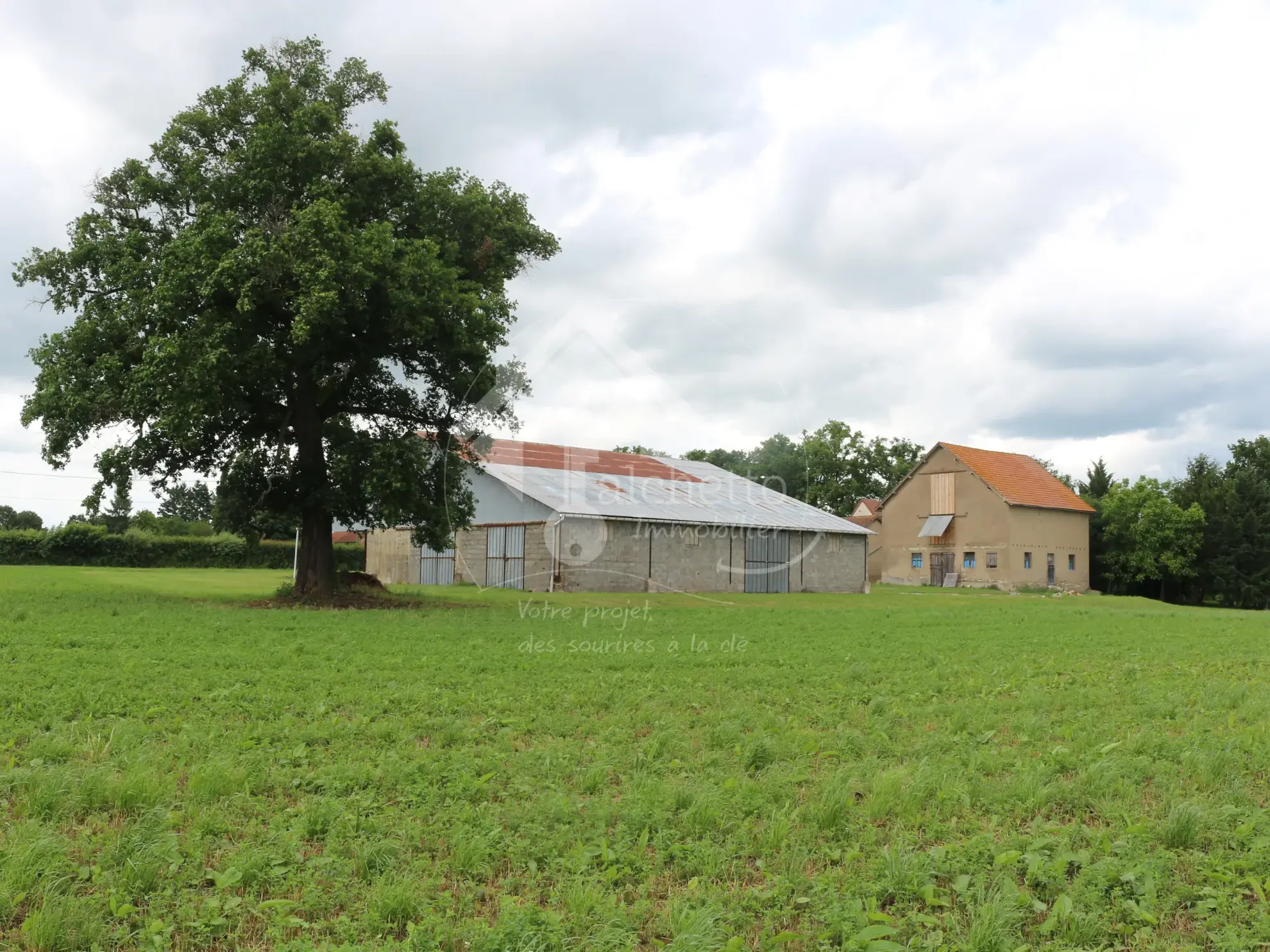 Propriété agricole de 4 ha à Montaigu-le-Blin avec grands bâtiments et potentiel d'habitation