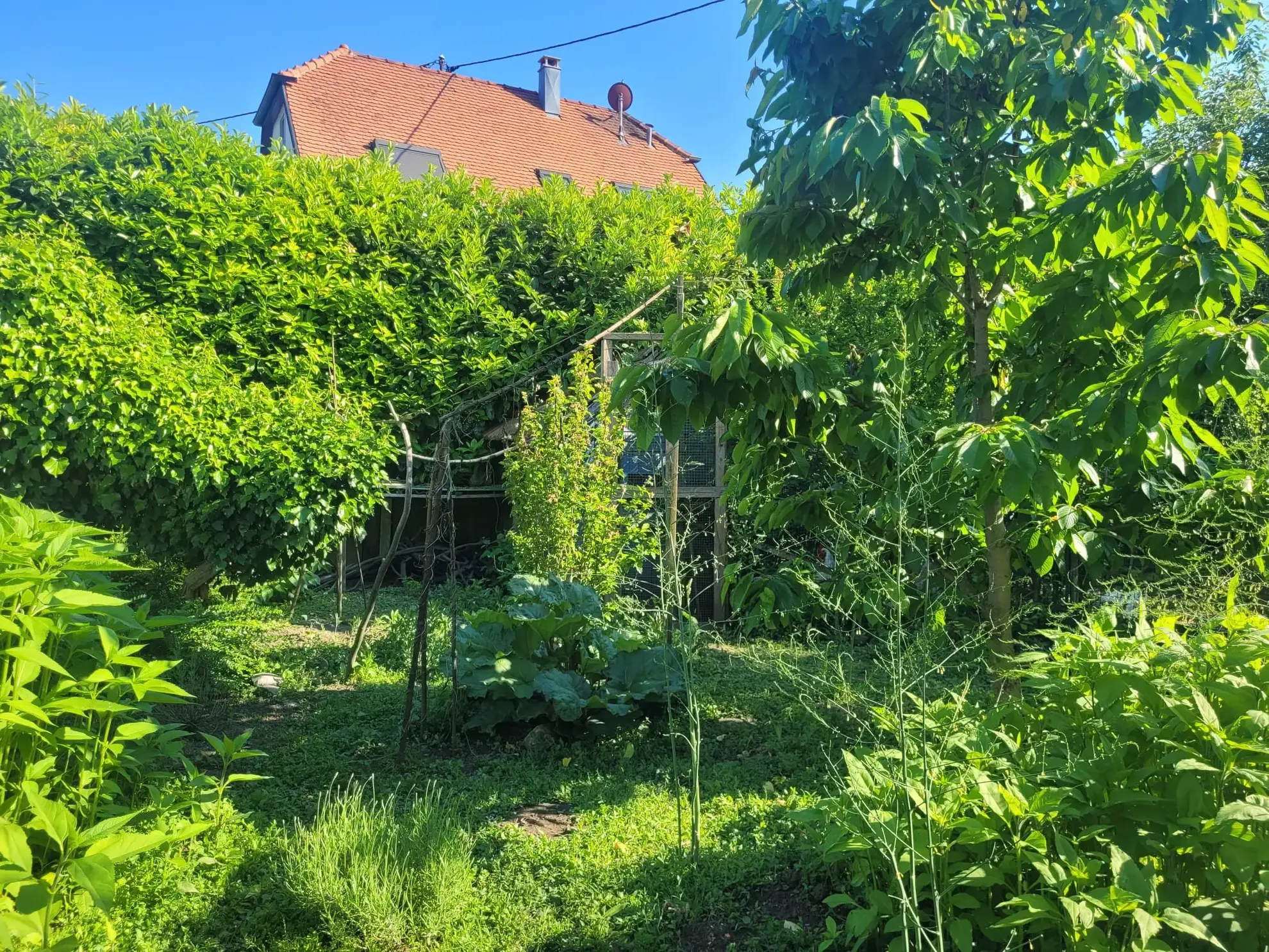 Maison à rénover de 90 m² à Village-Neuf, proche frontières et commodités 