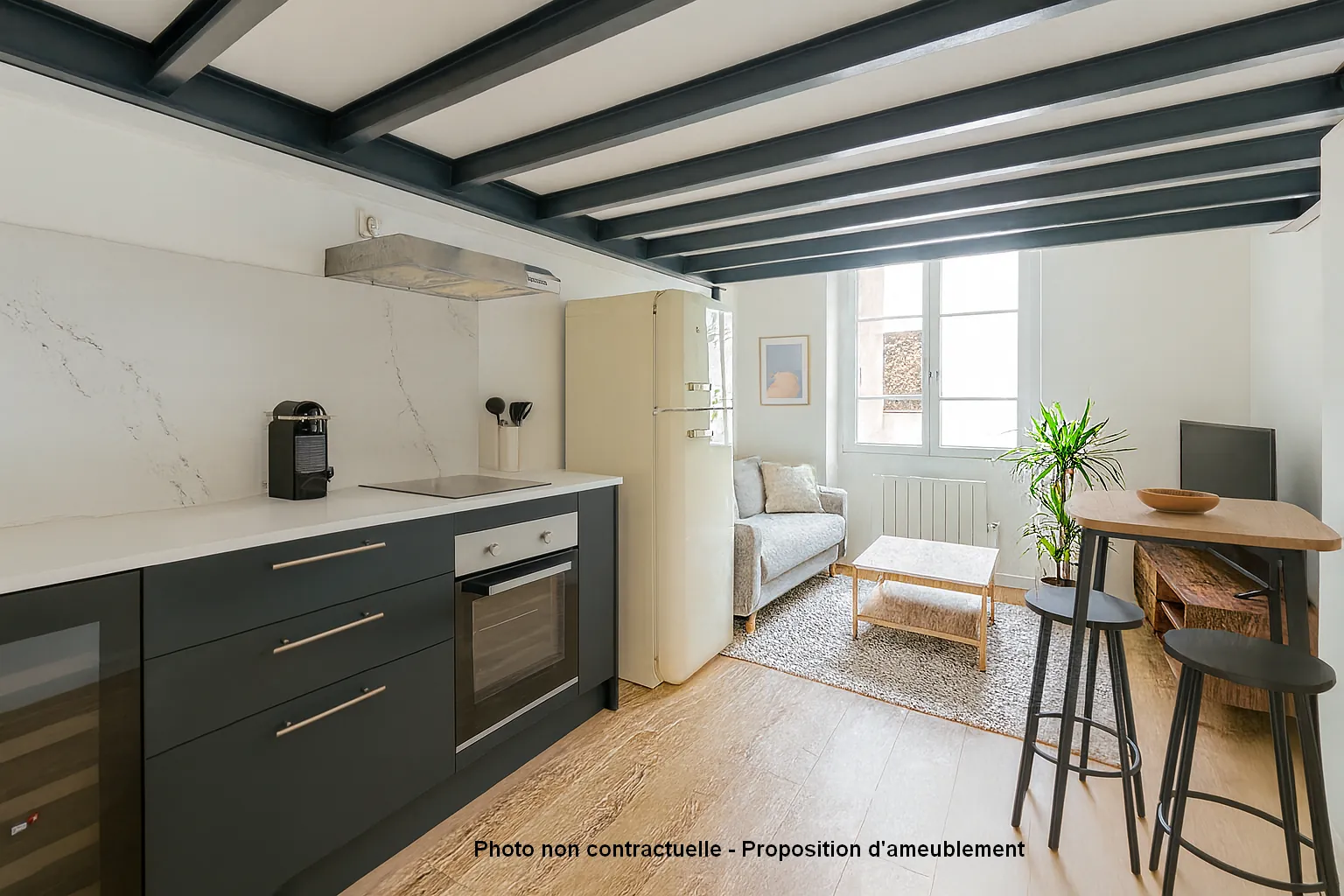 Appartement T1 bis rénové à Lyon Croix-Rousse avec mezzanine et jardin intérieur