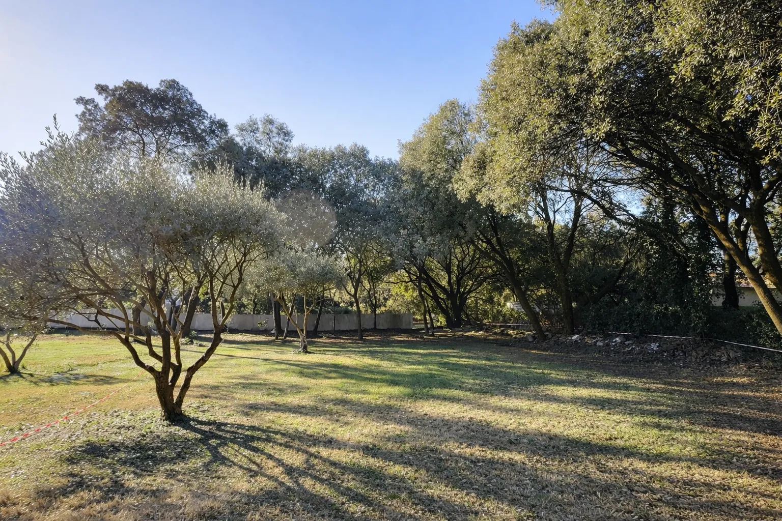 Terrain constructible et viabilisé à vendre à Beaulieu, environnement paisible 