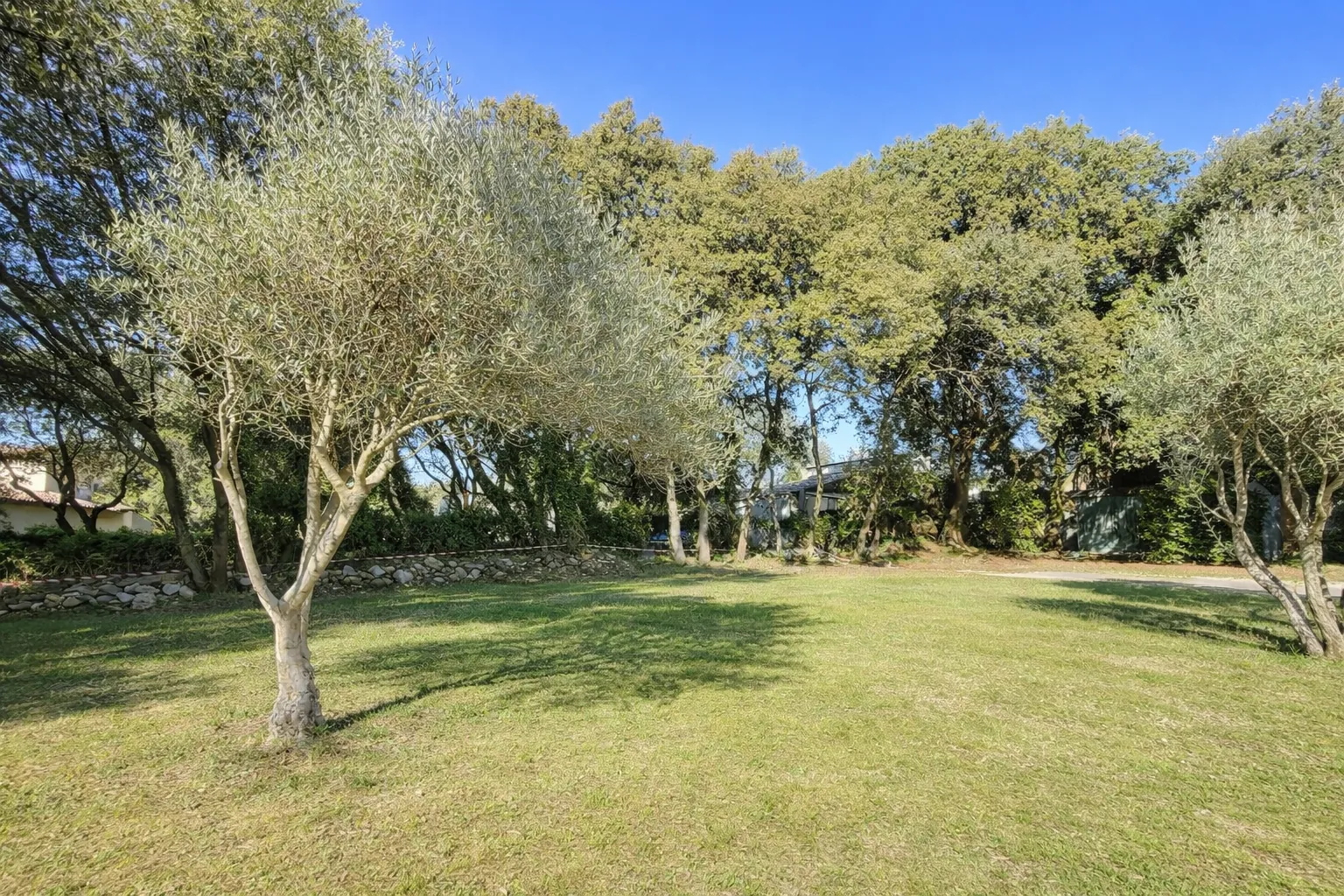 Terrain constructible et viabilisé à vendre à Beaulieu, environnement paisible 