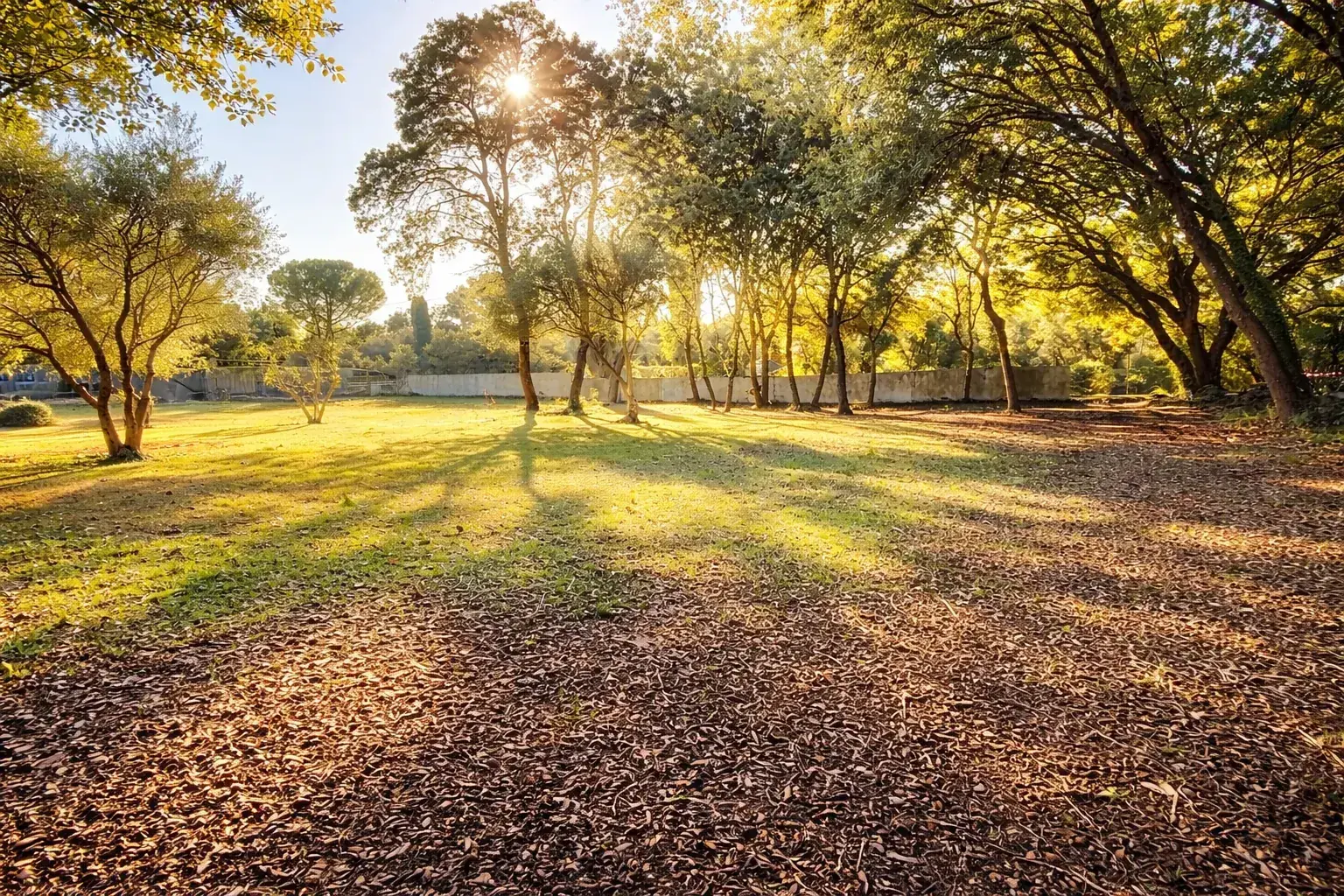 Terrain constructible et viabilisé à vendre à Beaulieu, environnement paisible