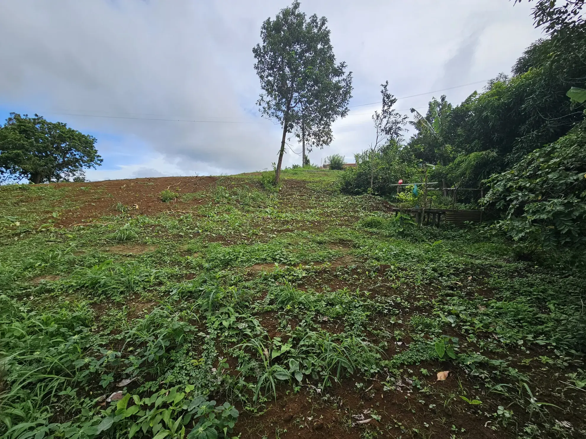Terrain en pente douce à vendre au Morne des Esses, Sainte-Marie - 1293 m² 