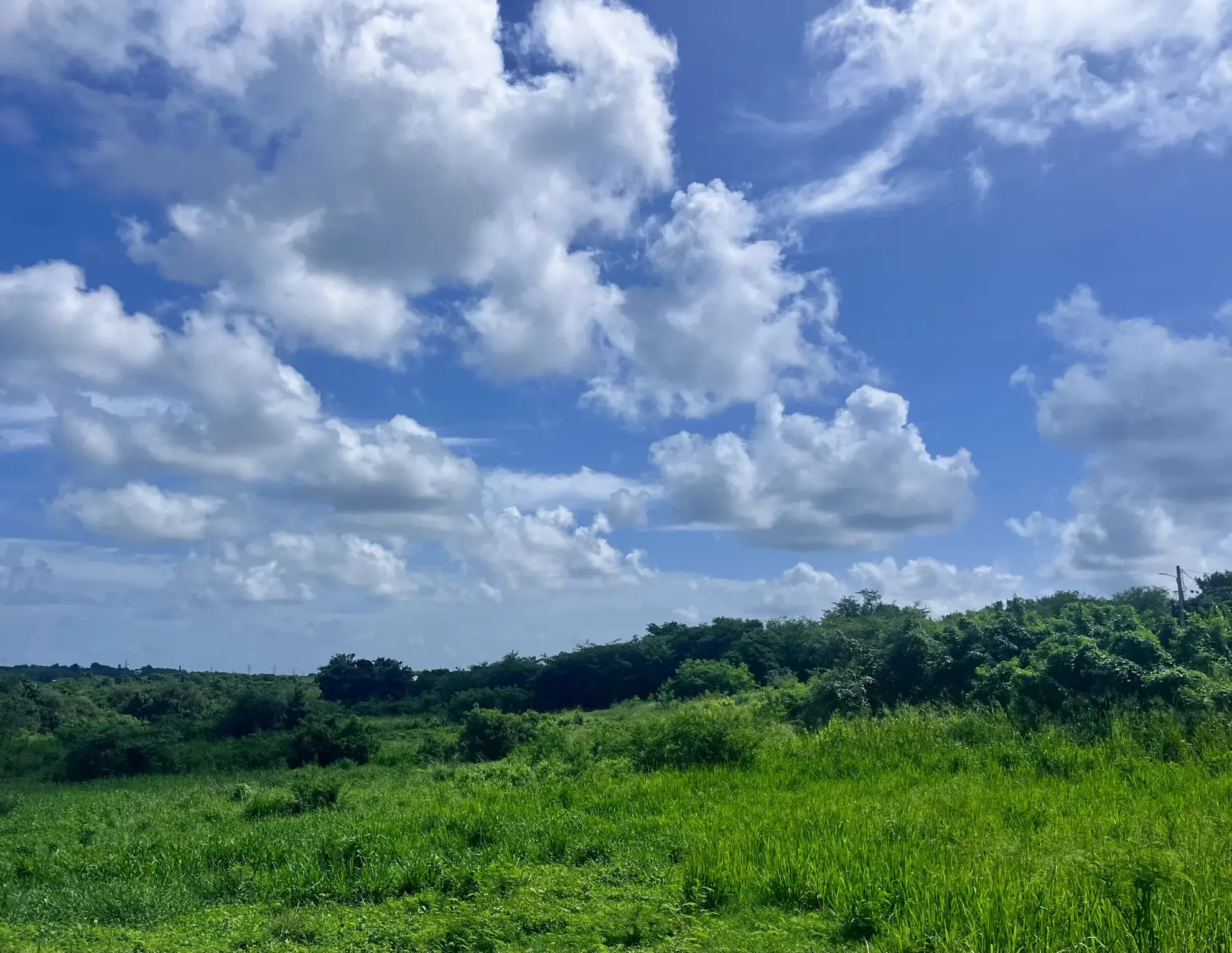 Terrain constructible de 700 m² à Sainte-Anne, proche plage du Helleux